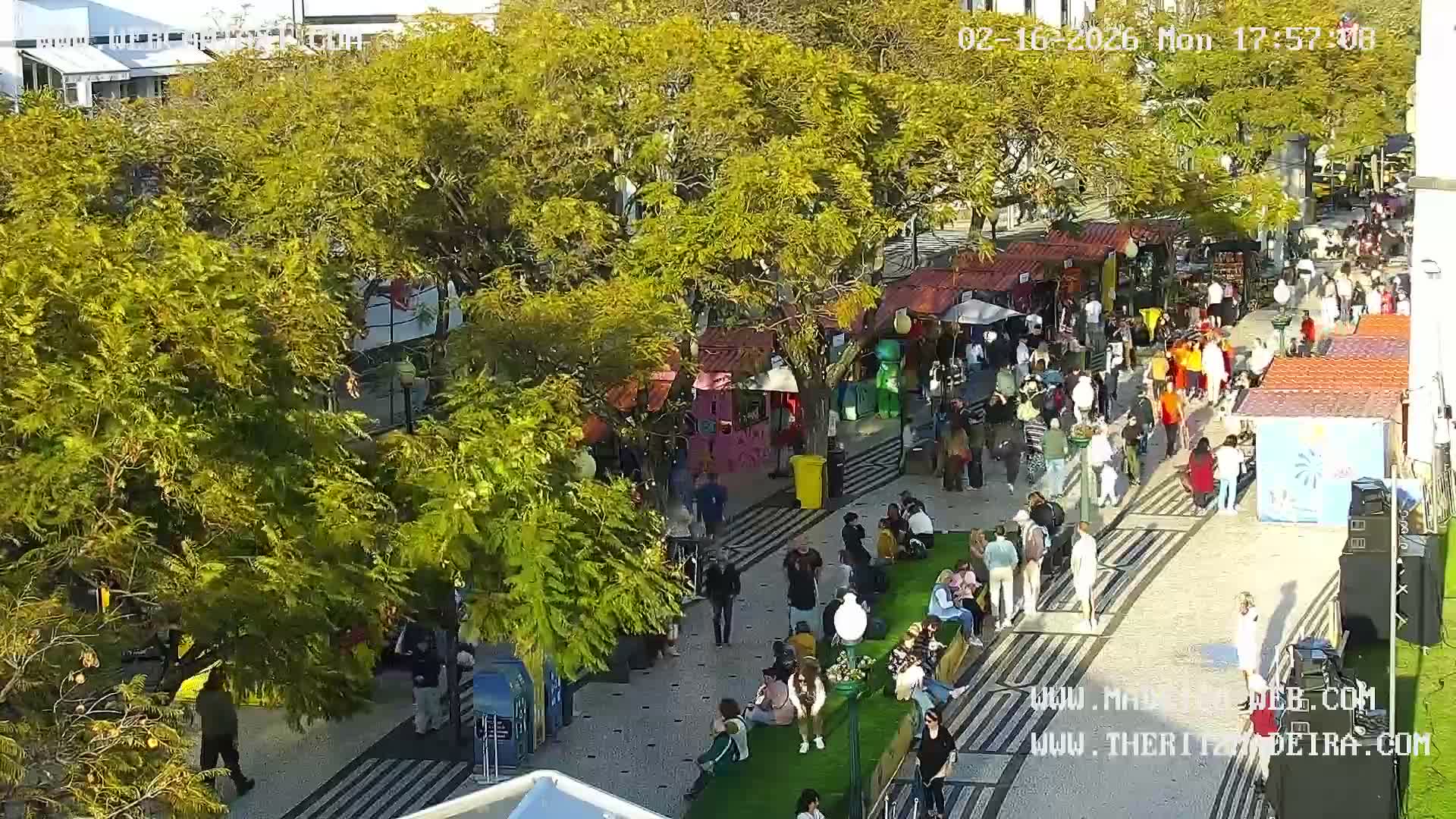 Ritz, Avenida Arriaga Avenue & Joao Goncalves Zarco Statue Live Cam - Funchal, Madeira, Portugal