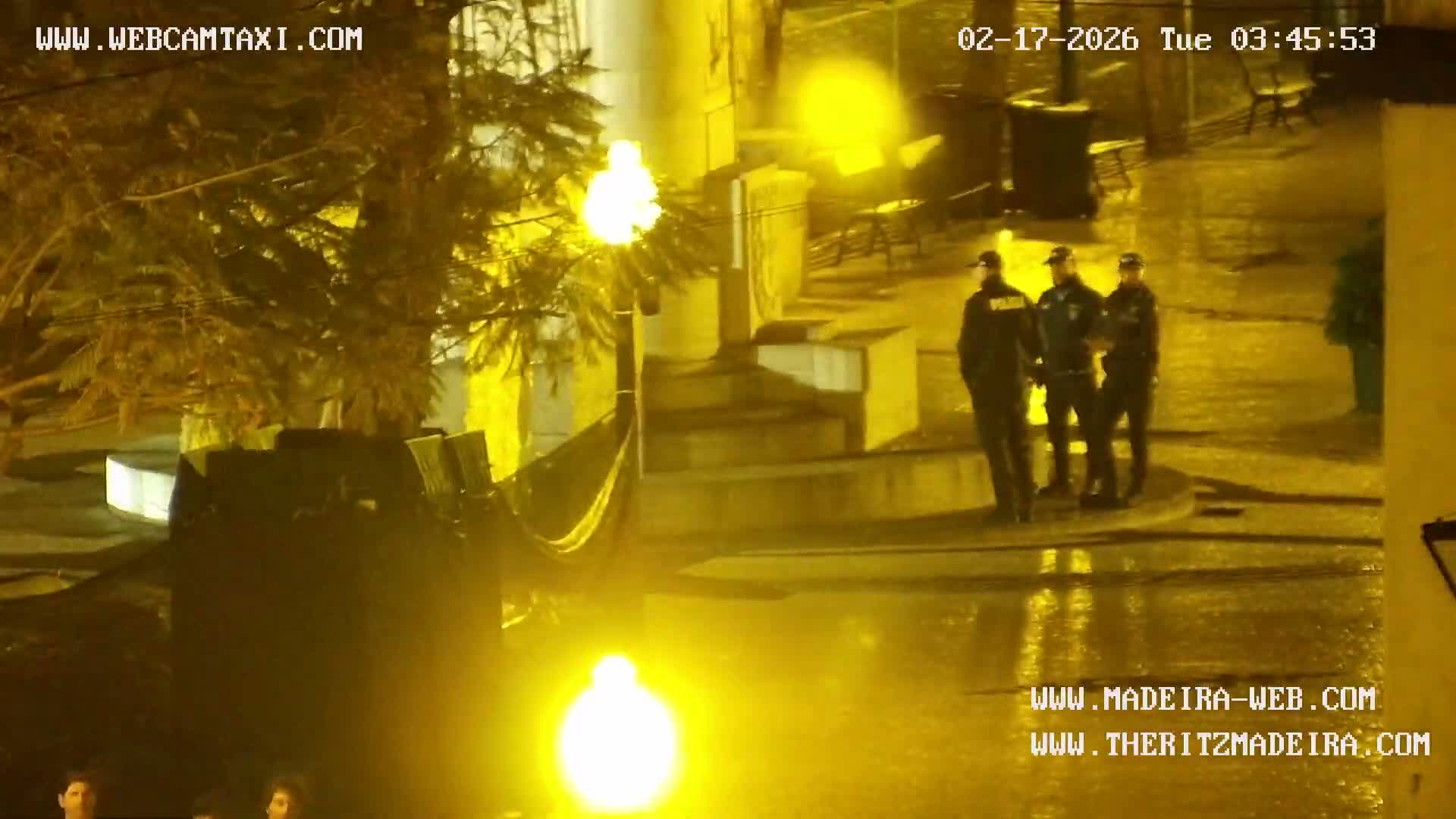 Ritz, Avenida Arriaga Avenue & Joao Goncalves Zarco Statue Live Cam - Funchal, Madeira, Portugal