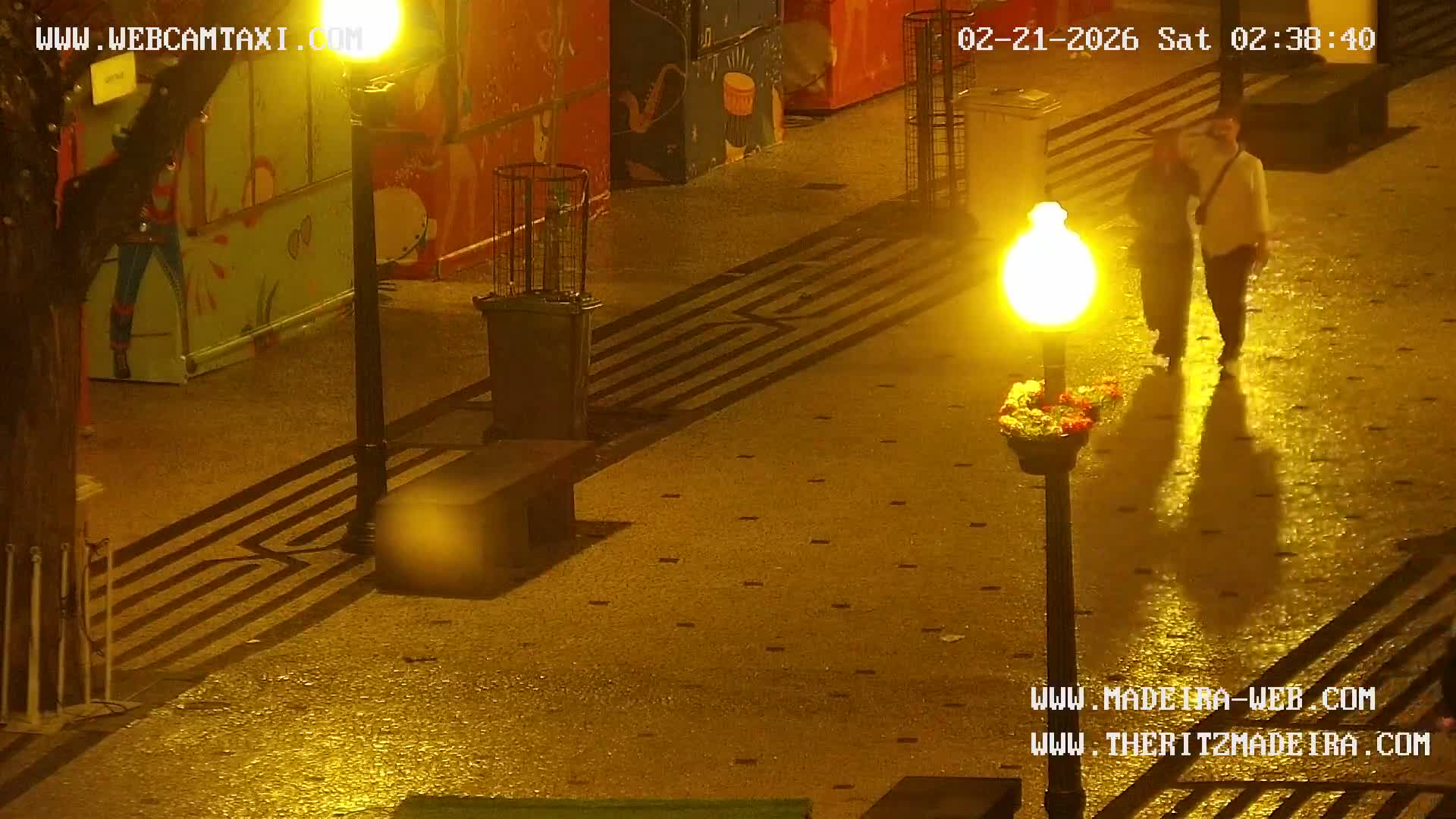 Ritz, Avenida Arriaga Avenue & Joao Goncalves Zarco Statue Live Cam - Funchal, Madeira, Portugal