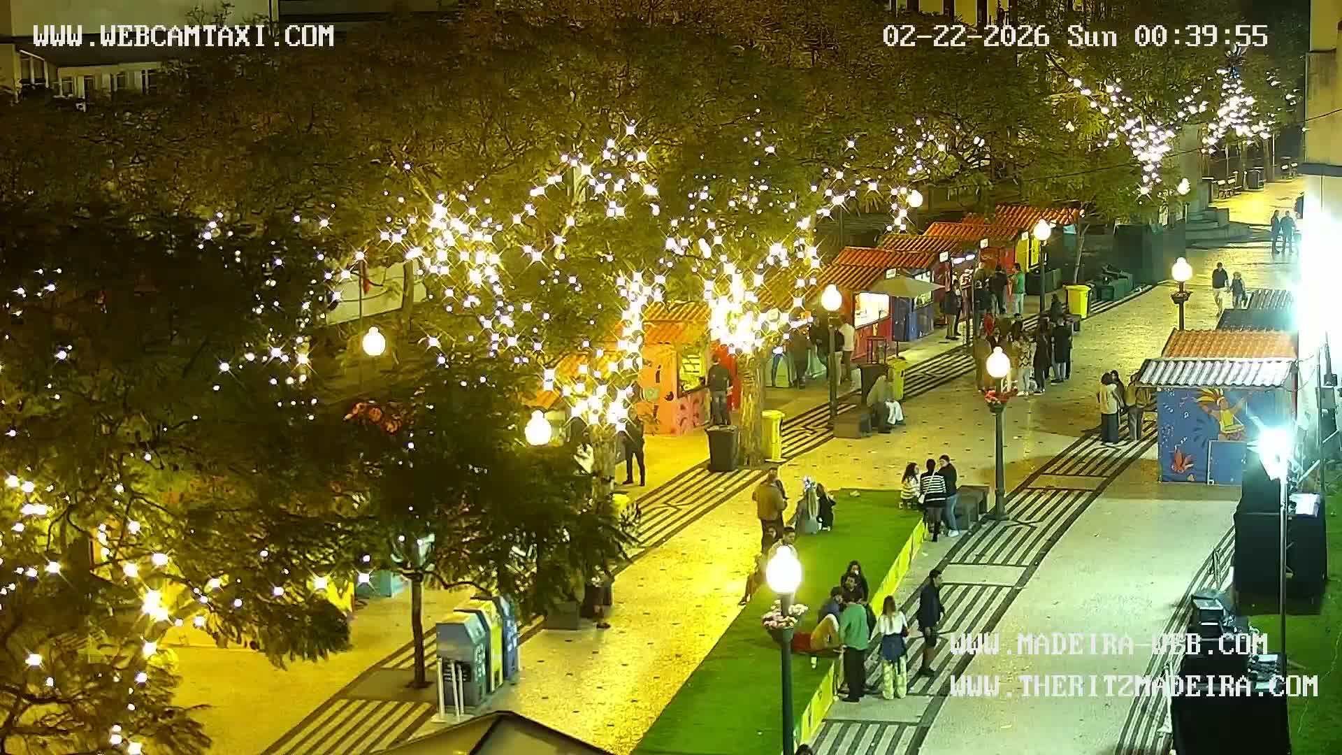 Ritz, Avenida Arriaga Avenue & Joao Goncalves Zarco Statue Live Cam - Funchal, Madeira, Portugal