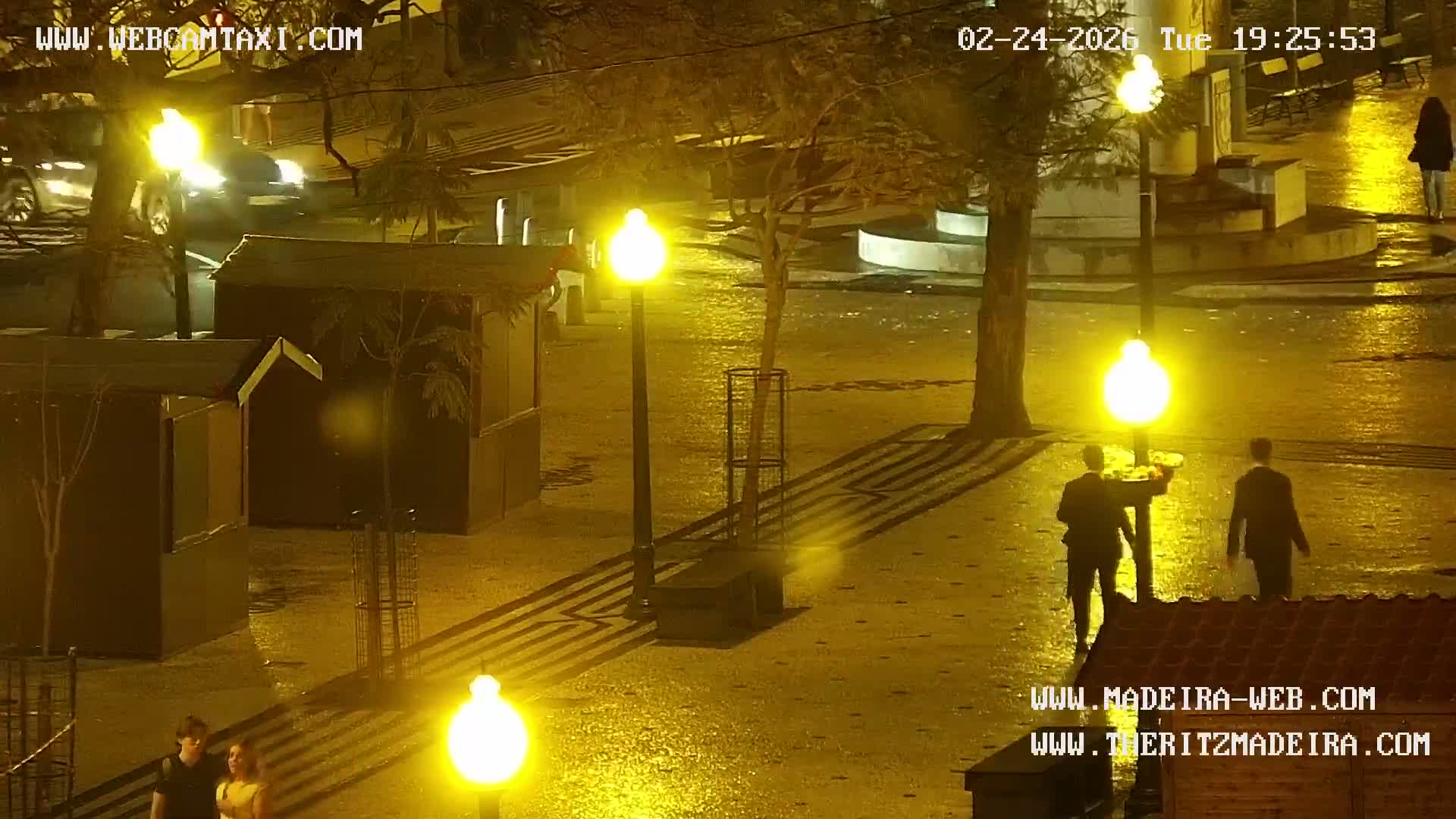 Ritz, Avenida Arriaga Avenue & Joao Goncalves Zarco Statue Live Cam - Funchal, Madeira, Portugal