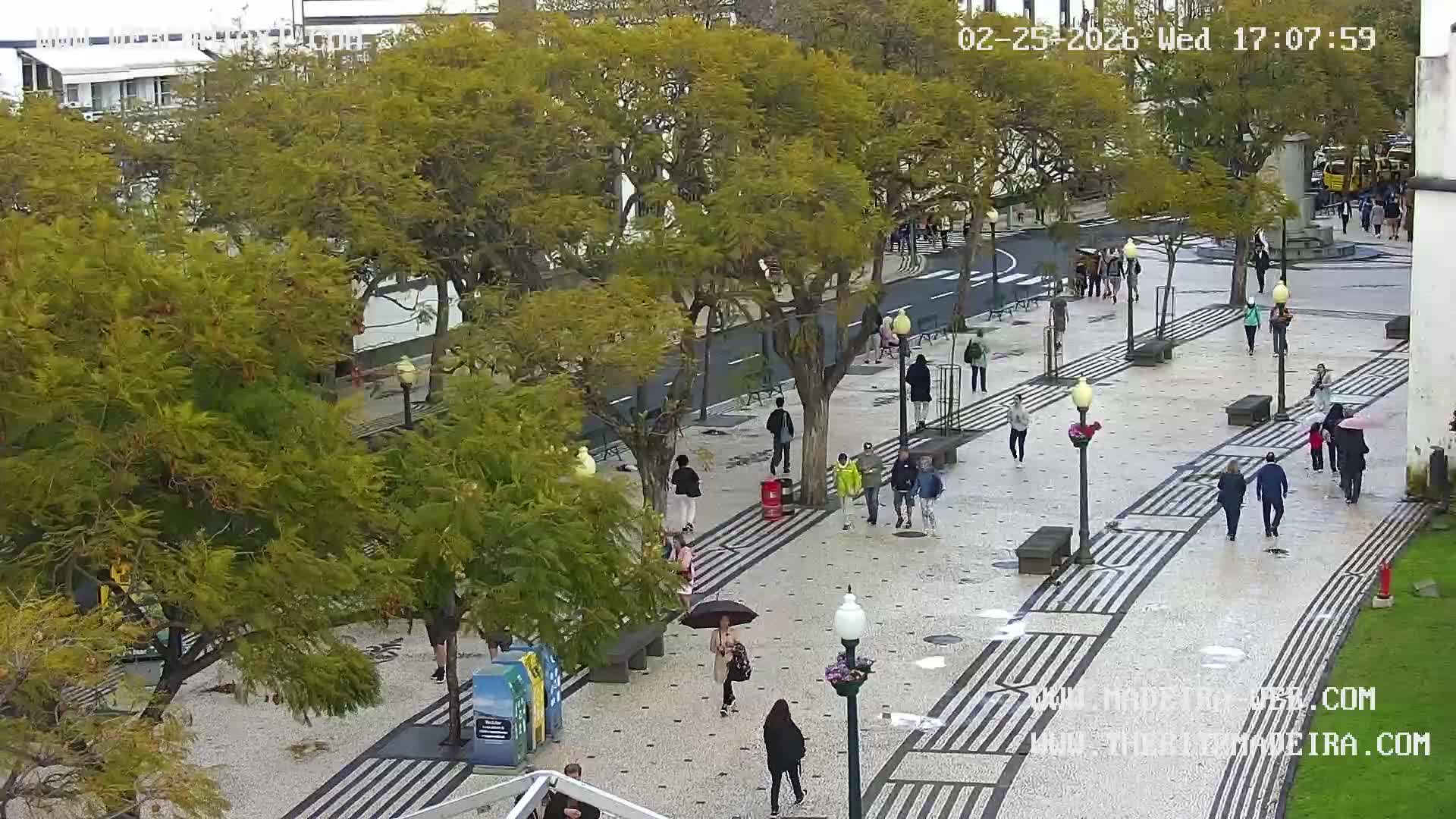 Ritz, Avenida Arriaga Avenue & Joao Goncalves Zarco Statue Live Cam - Funchal, Madeira, Portugal