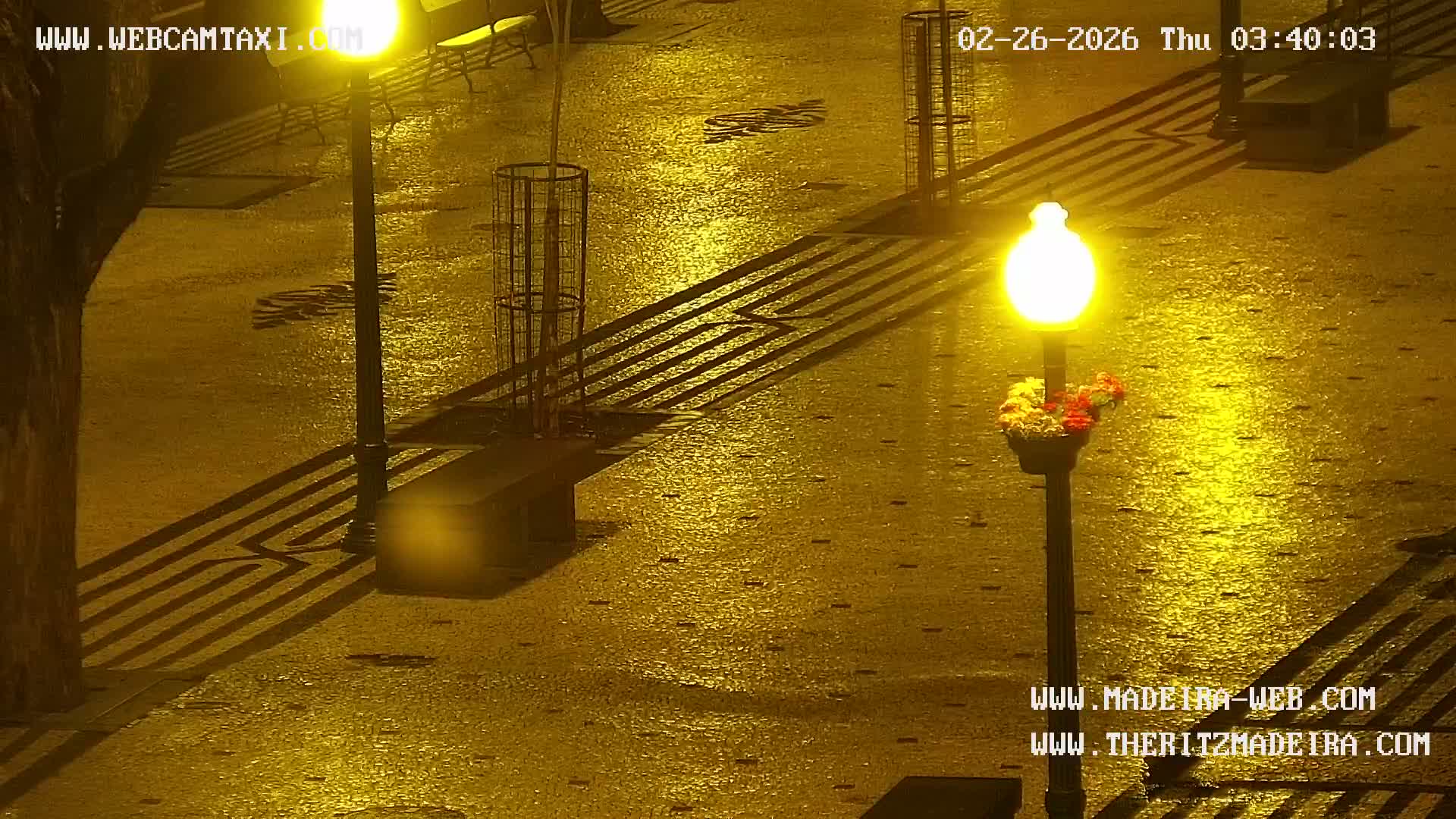 Ritz, Avenida Arriaga Avenue & Joao Goncalves Zarco Statue Live Cam - Funchal, Madeira, Portugal