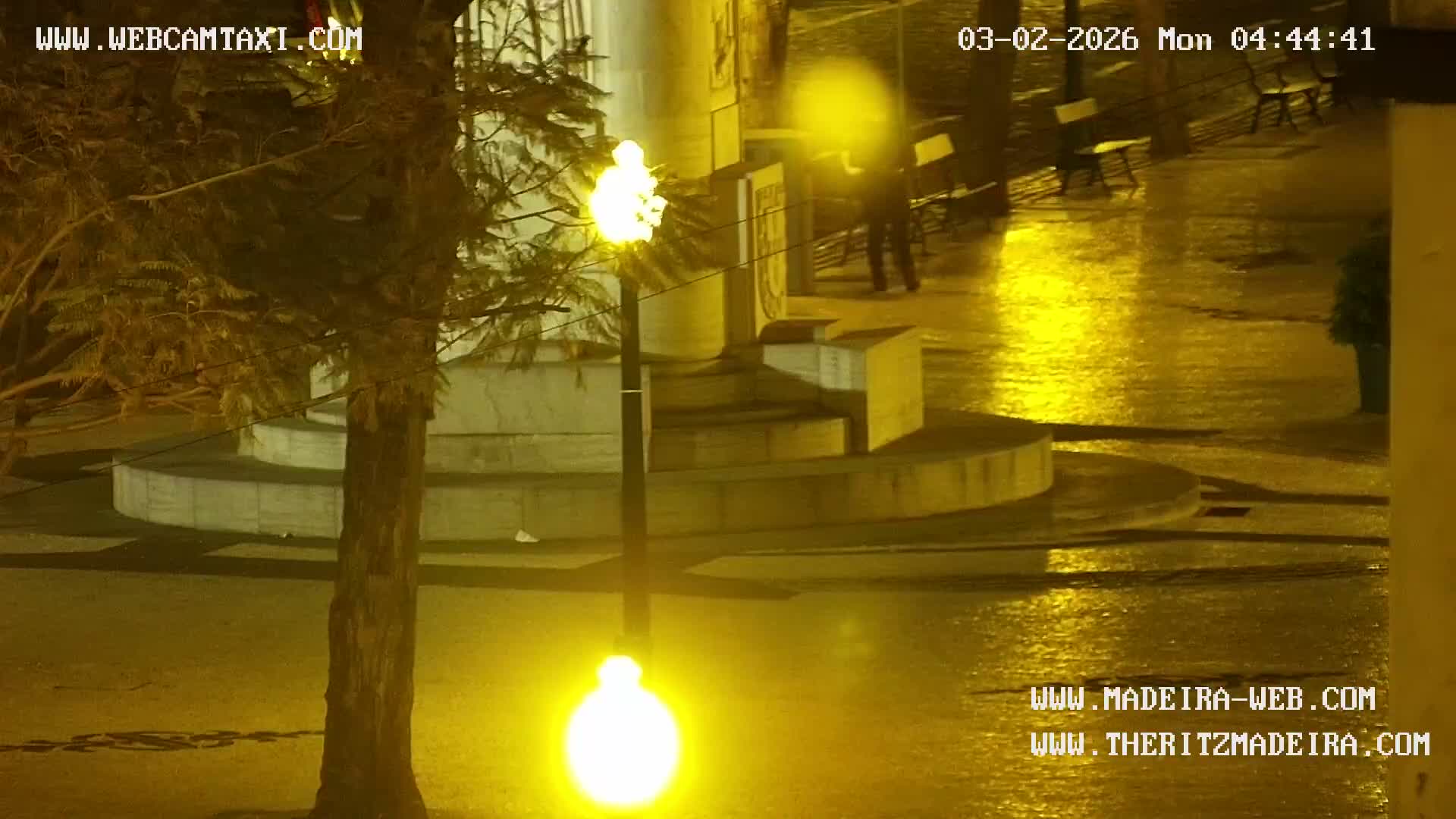 Ritz, Avenida Arriaga Avenue & Joao Goncalves Zarco Statue Live Cam - Funchal, Madeira, Portugal