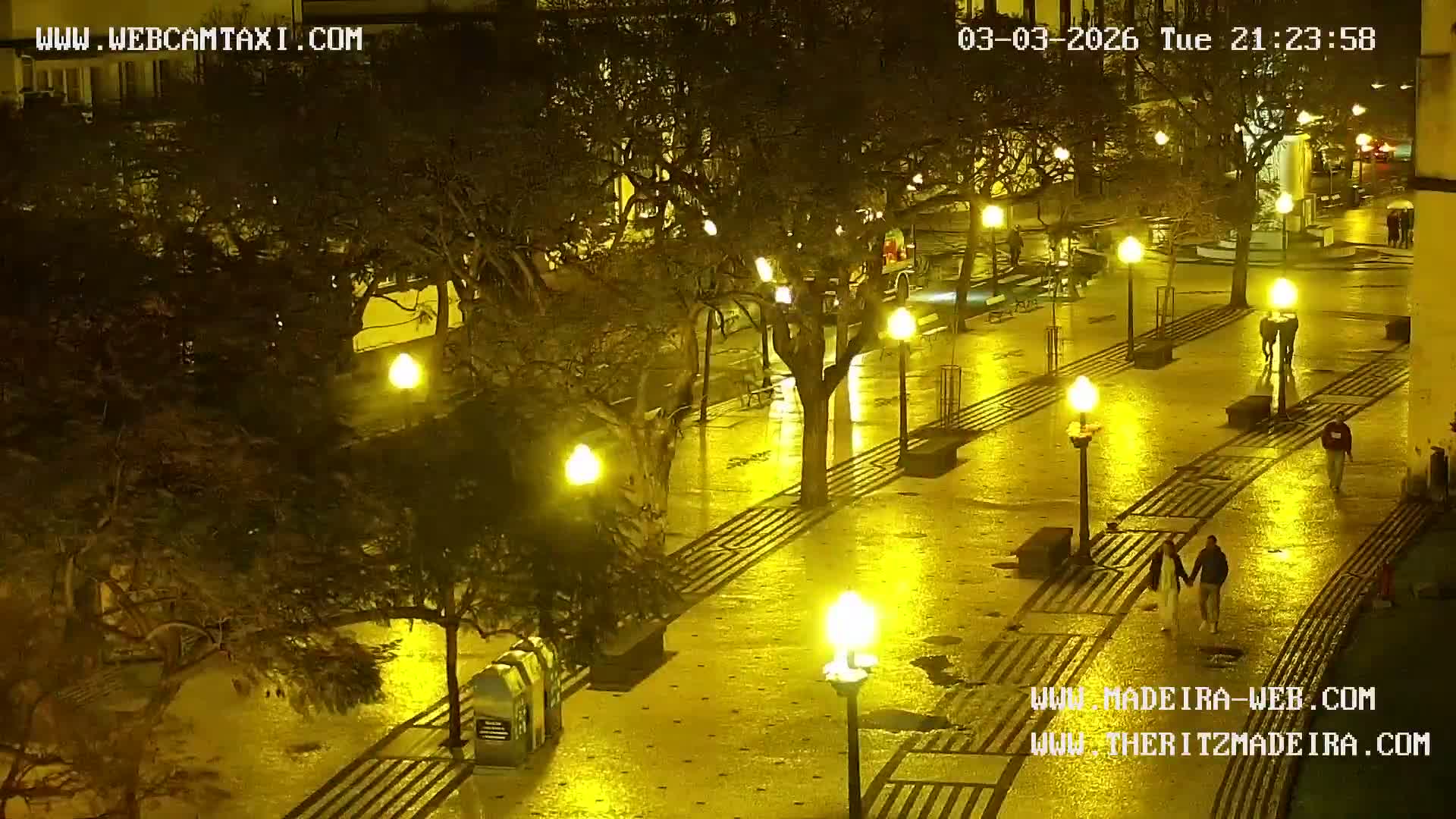Ritz, Avenida Arriaga Avenue & Joao Goncalves Zarco Statue Live Cam - Funchal, Madeira, Portugal