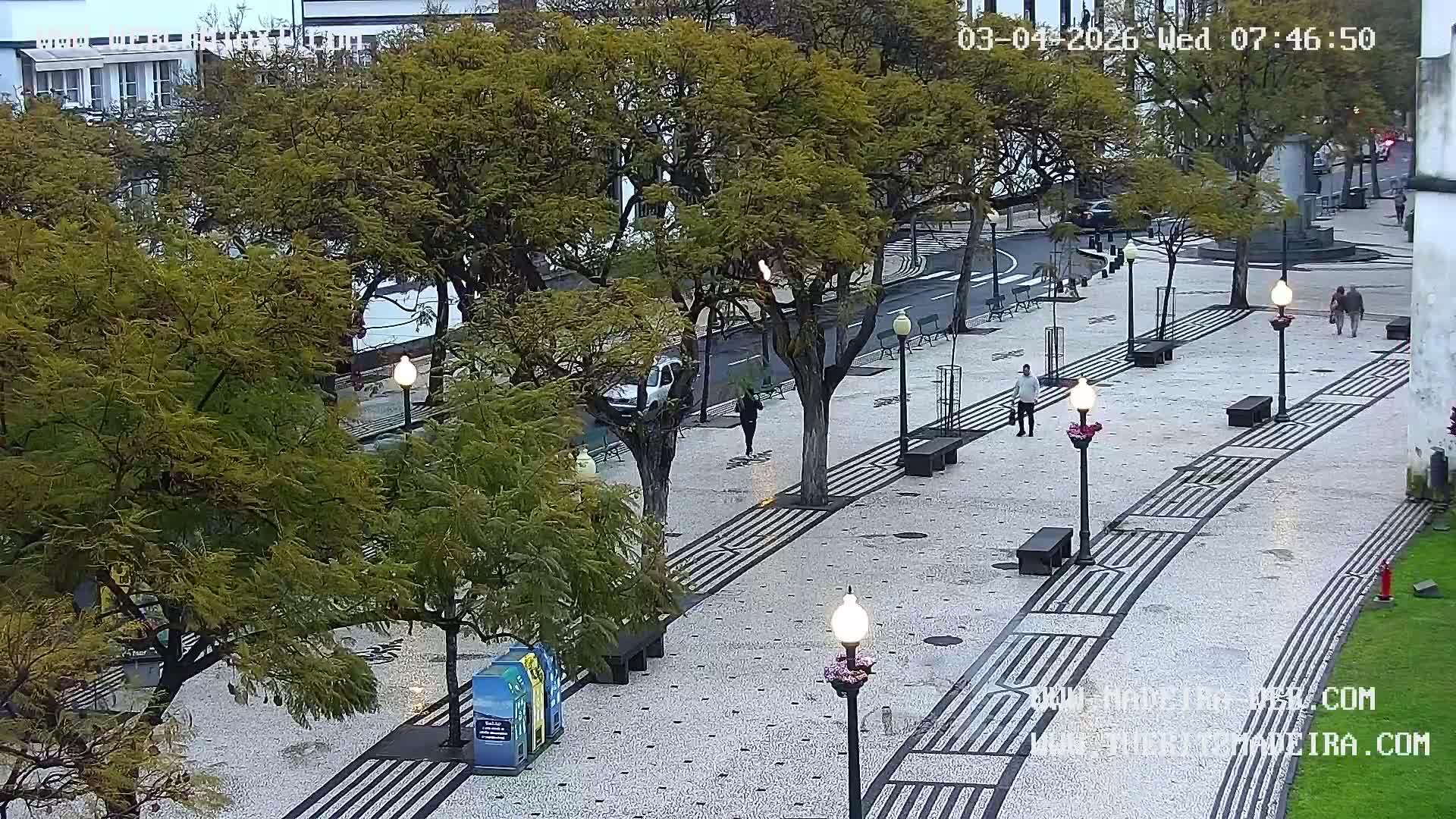 Ritz, Avenida Arriaga Avenue & Joao Goncalves Zarco Statue Live Cam - Funchal, Madeira, Portugal