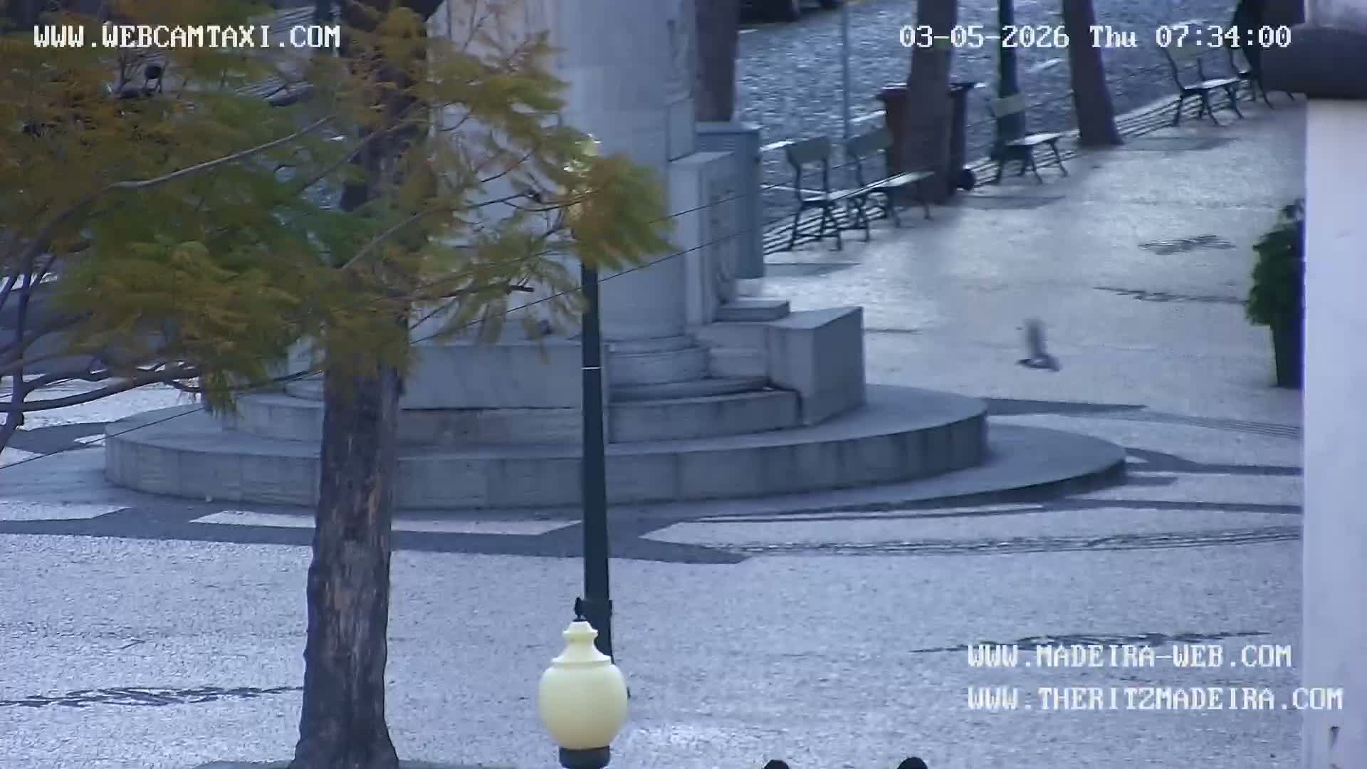Ritz, Avenida Arriaga Avenue & Joao Goncalves Zarco Statue Live Cam - Funchal, Madeira, Portugal