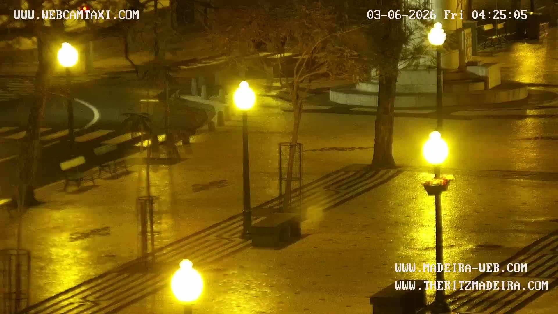 Ritz, Avenida Arriaga Avenue & Joao Goncalves Zarco Statue Live Cam - Funchal, Madeira, Portugal