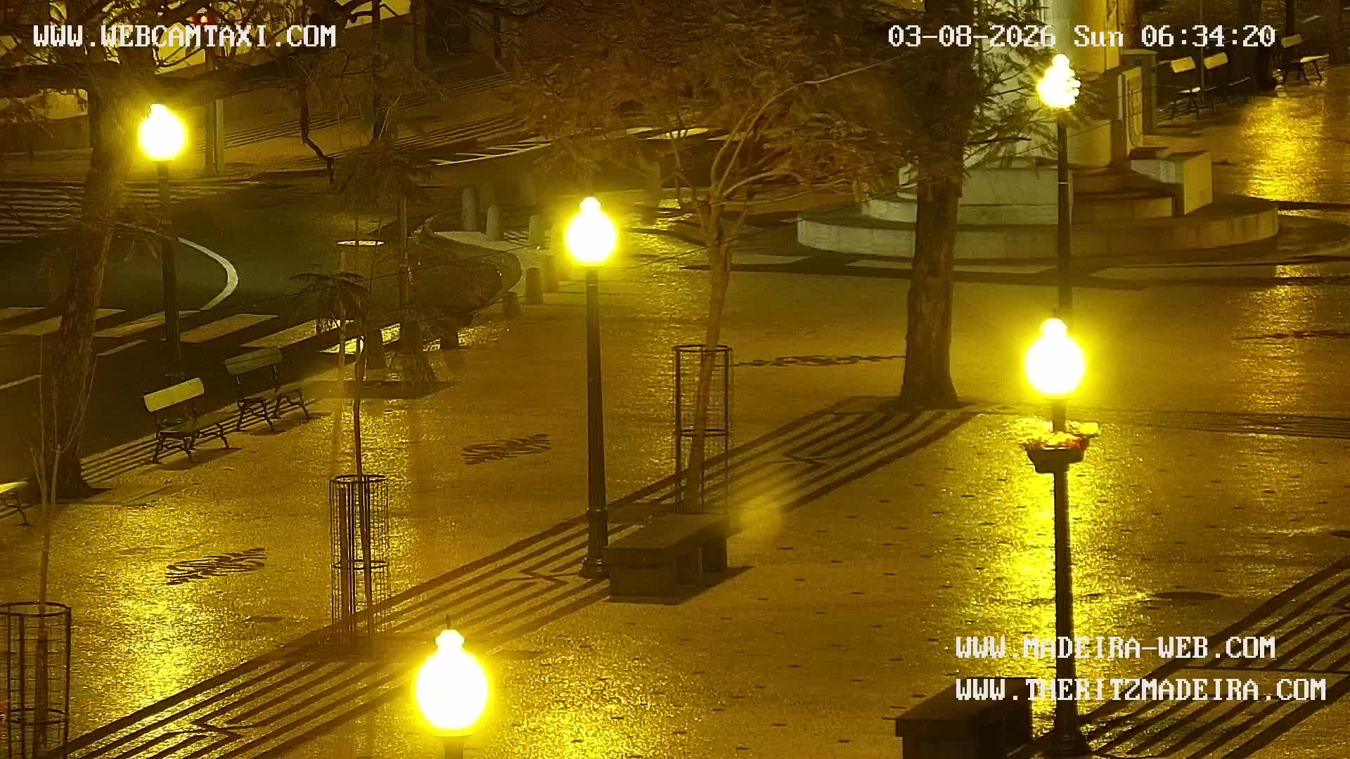 Ritz, Avenida Arriaga Avenue & Joao Goncalves Zarco Statue Live Cam - Funchal, Madeira, Portugal