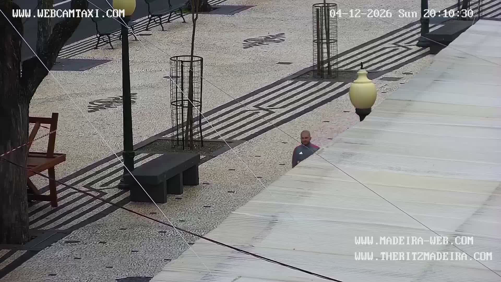 Ritz, Avenida Arriaga Avenue & Joao Goncalves Zarco Statue Live Cam - Funchal, Madeira, Portugal