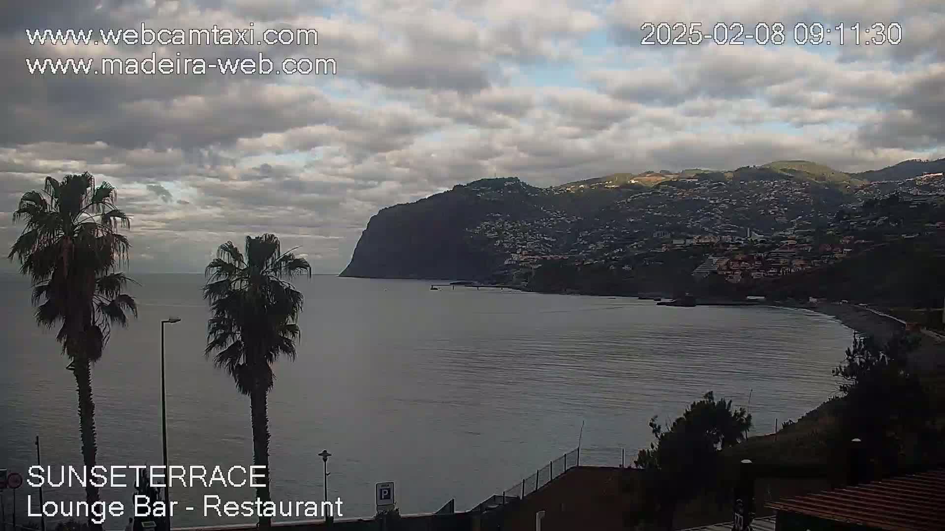 A calm, overcast day shows a coastal town nestled against a dark mountain, with a beach and calm water visible from a distance, two palm trees in the foreground.