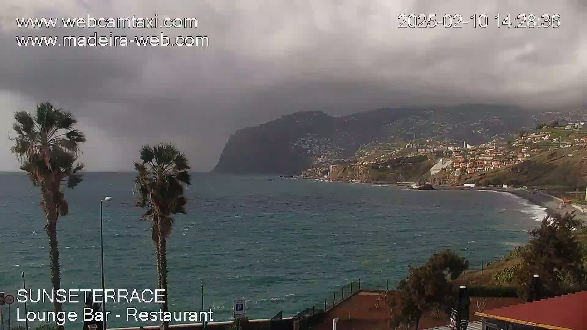 A coastal town is seen from a distance on an overcast day, with palm trees in the foreground and a dark-colored body of water in between.