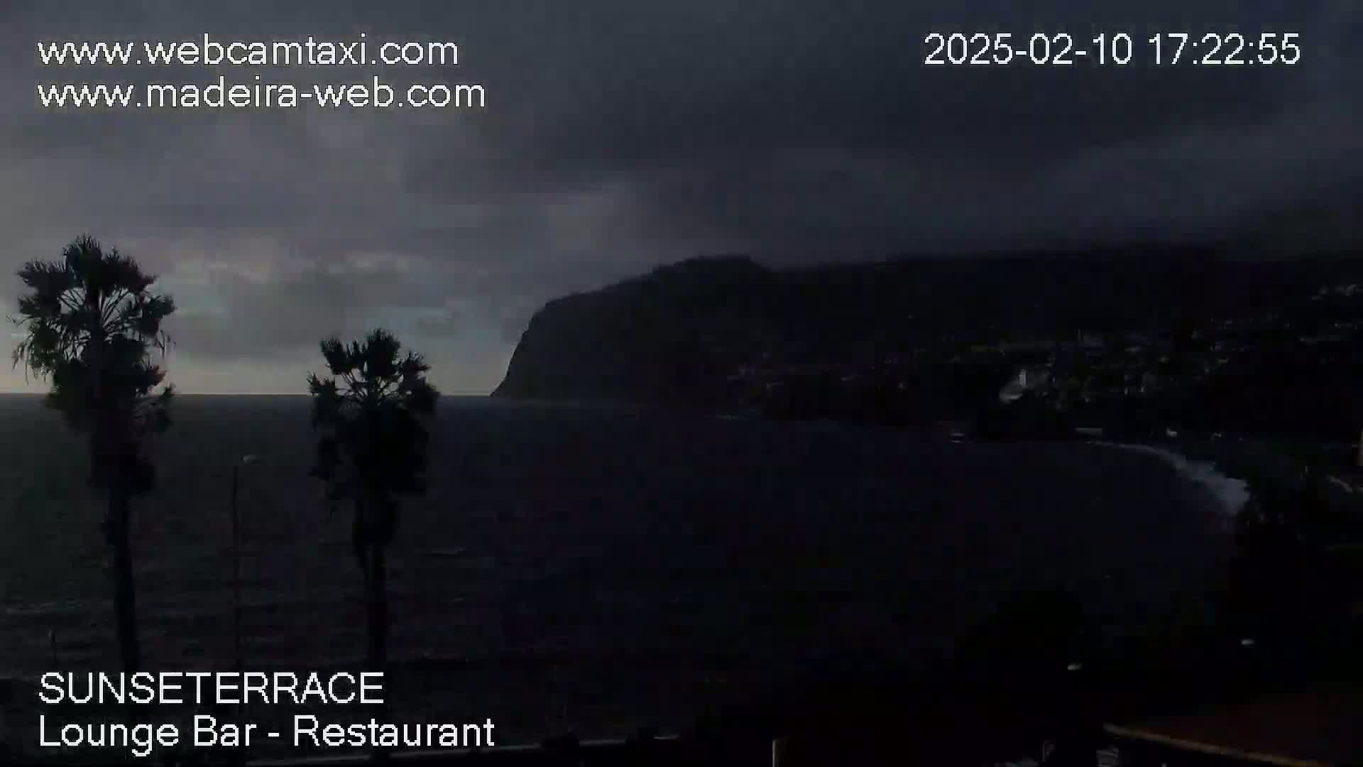 A dark, overcast coastal scene shows a body of water with a large, dark landmass in the background, two palm trees in the foreground, and a hint of white waves near the shore.