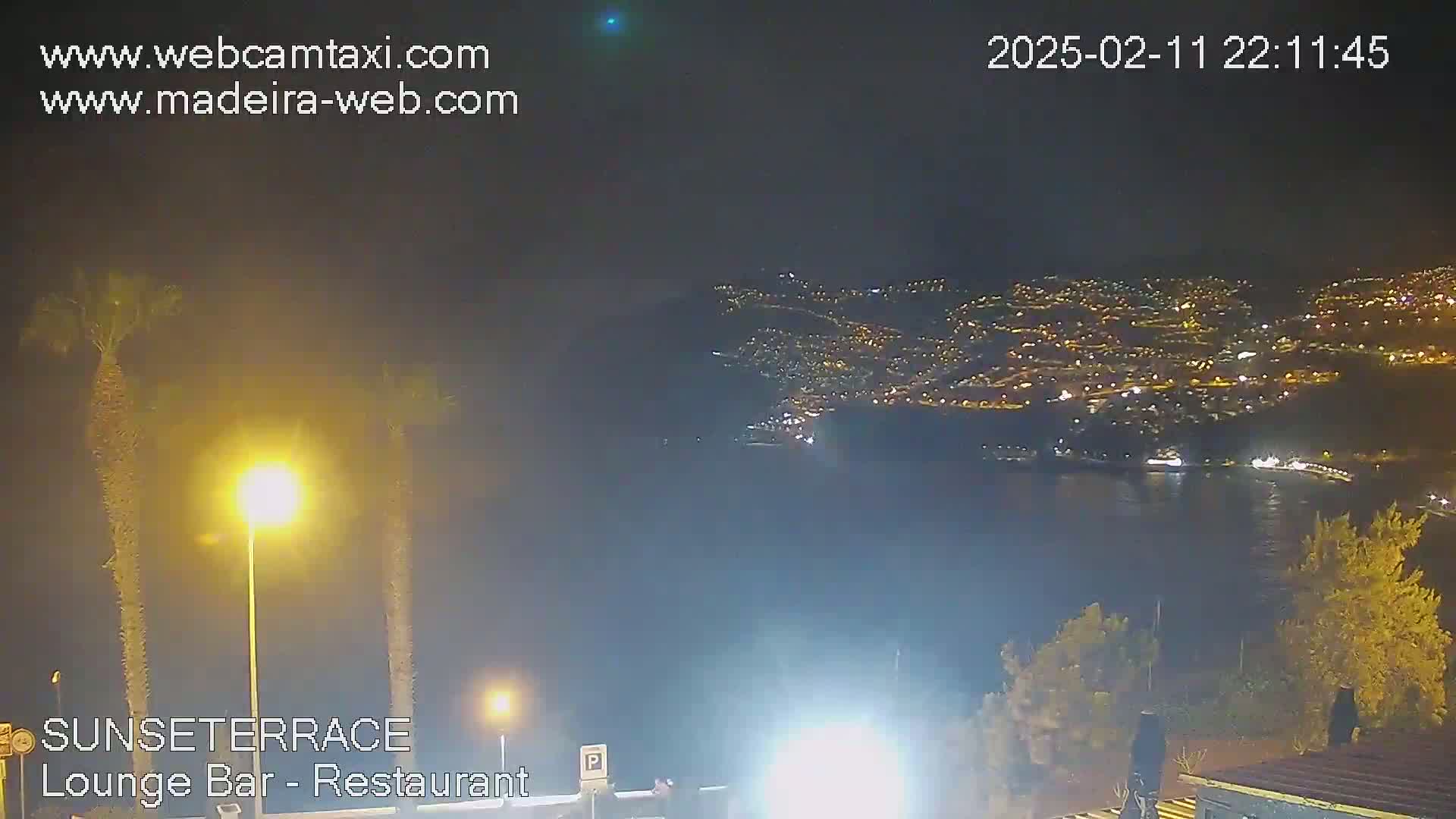 A nighttime view from an elevated position shows a city's lights spread across a hillside and along a dark body of water, with palm trees and vegetation in the foreground under a clear sky.