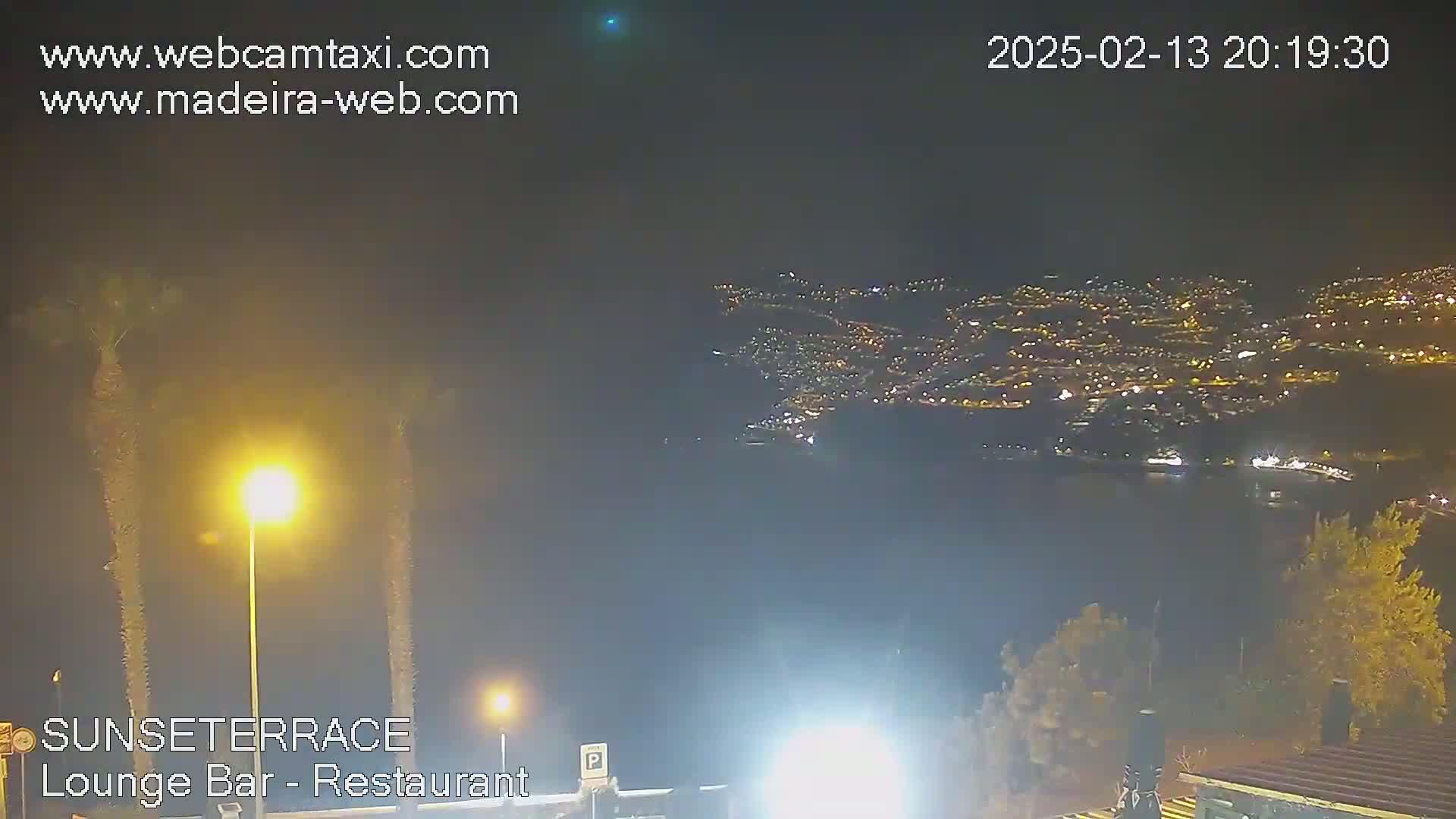 A nighttime view of a city's lights spread across a hillside, seen from a vantage point with palm trees and streetlights in the foreground.
