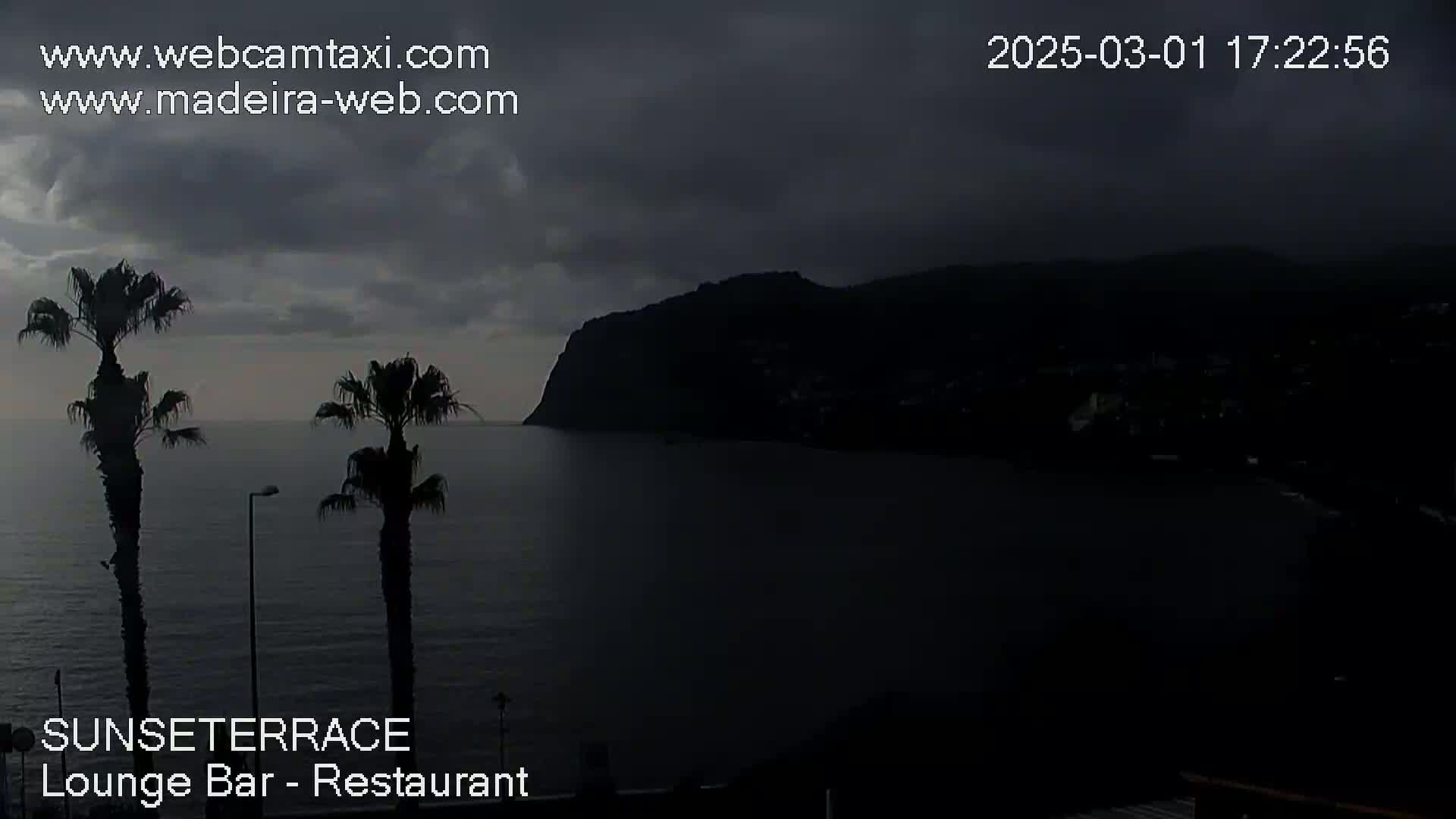 Two palm trees stand silhouetted against a dark, overcast sky overlooking a calm, dark body of water and a distant, dark mountain.