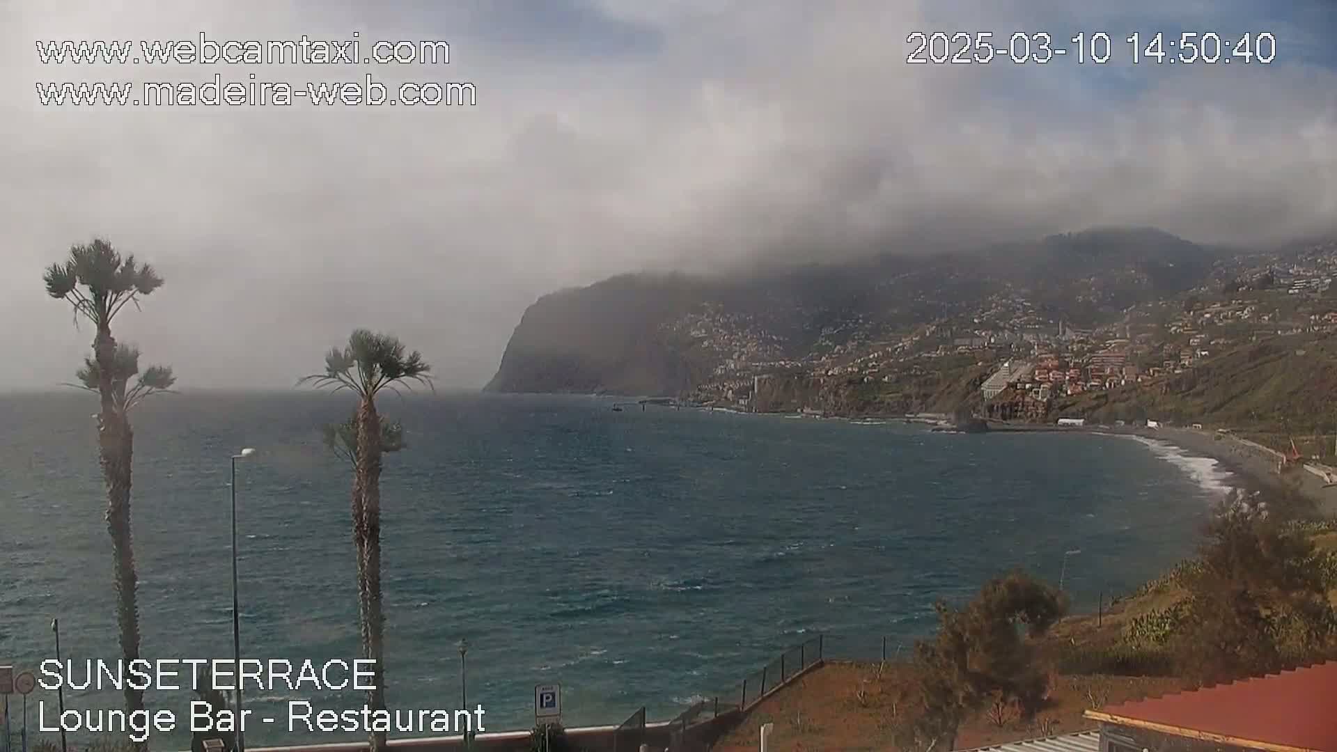 A hazy, overcast day reveals a coastal town nestled against a mountainside overlooking a dark-blue ocean, with palm trees in the foreground.
