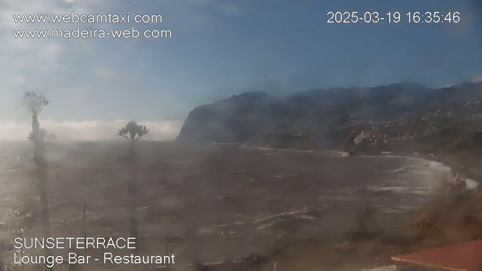 A hazy, overcast day shows a coastal scene with two palm trees in the foreground, a rocky cliff in the midground, and a dark, possibly stormy ocean in the background.