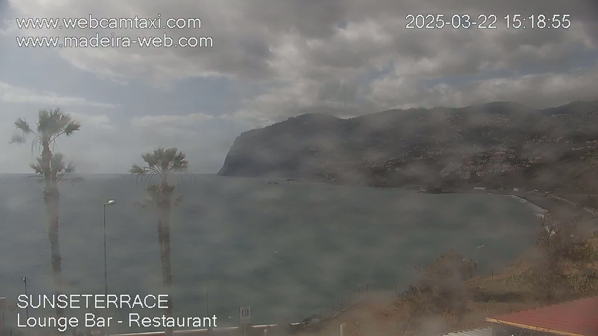 A hazy, overcast day shows a coastal scene with palm trees in the foreground, a calm ocean, and a distant, fog-shrouded mountainside.