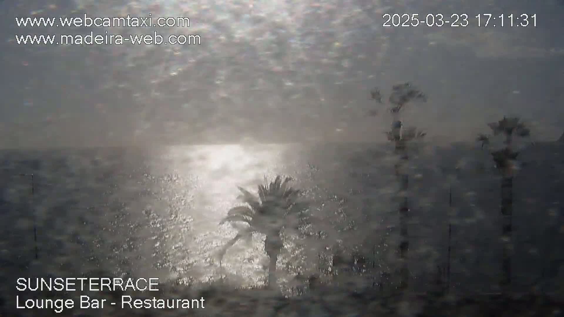 A blurry, overcast view of a body of water with palm trees in the foreground, appearing to be in a storm with rain and wind.