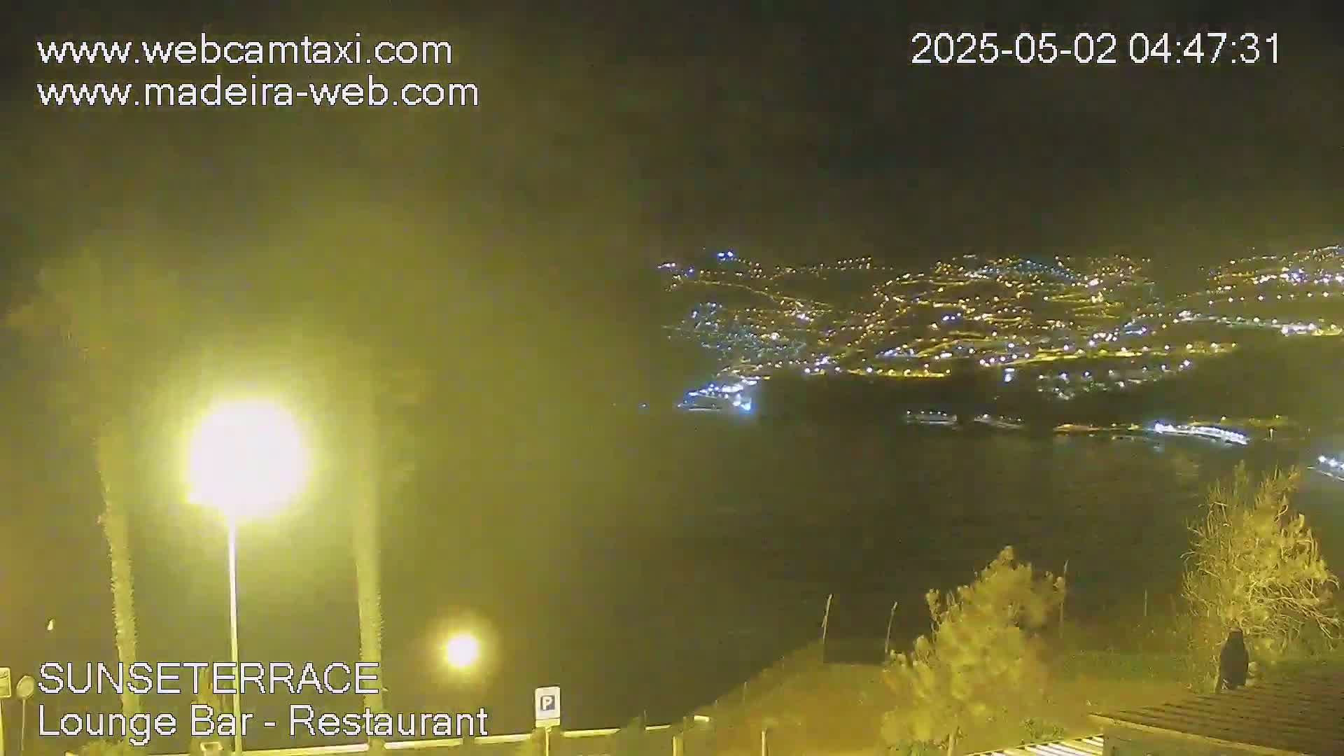 A nighttime, long-range view shows a brightly lit city nestled on a hillside next to a dark body of water, with palm trees and shrubs in the foreground.