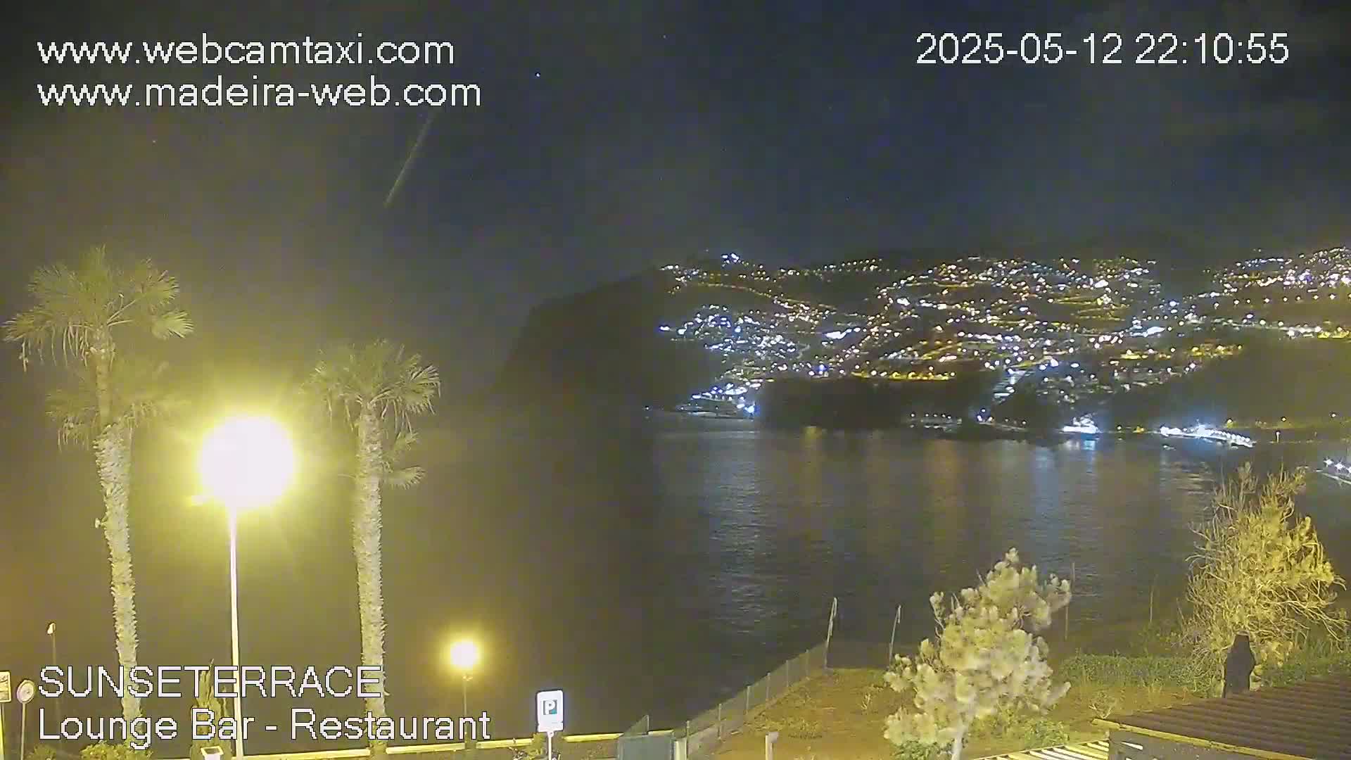 A nighttime view of a city illuminated on a hillside across a dark body of water, observed from a vantage point with palm trees and shrubs in the foreground under a clear sky.