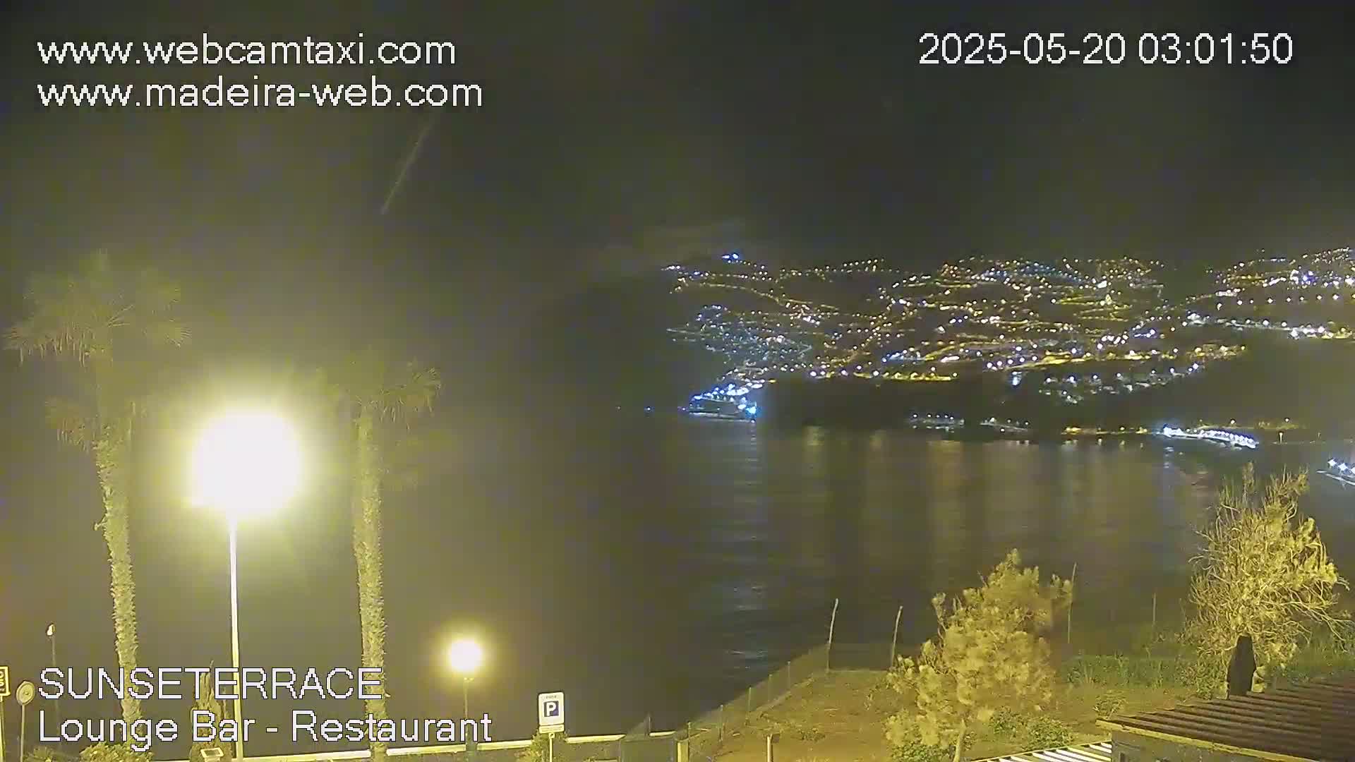 A nighttime coastal scene shows a city illuminated across a dark body of water, with palm trees and low vegetation in the foreground under a clear sky.