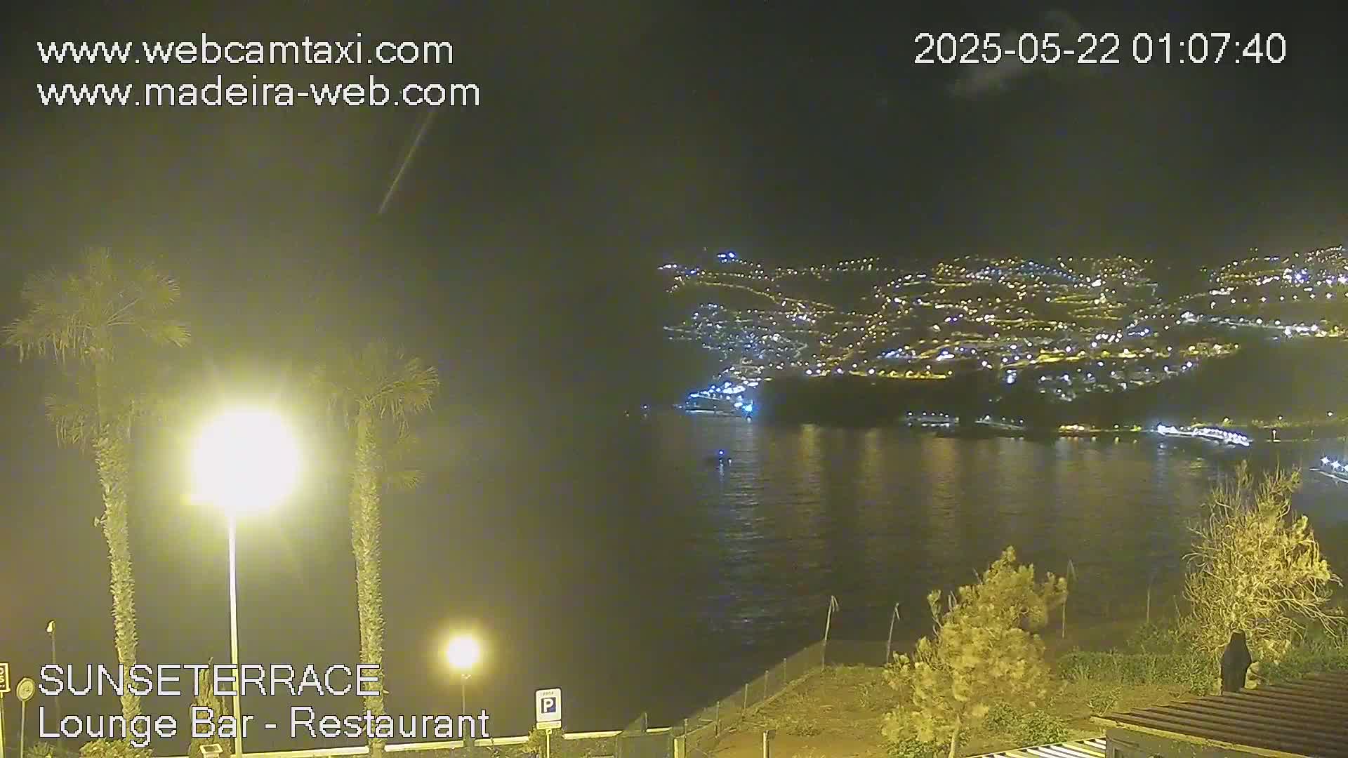 A nighttime coastal view shows a city illuminated across a dark body of water, with palm trees and shrubs in the foreground under bright lights.