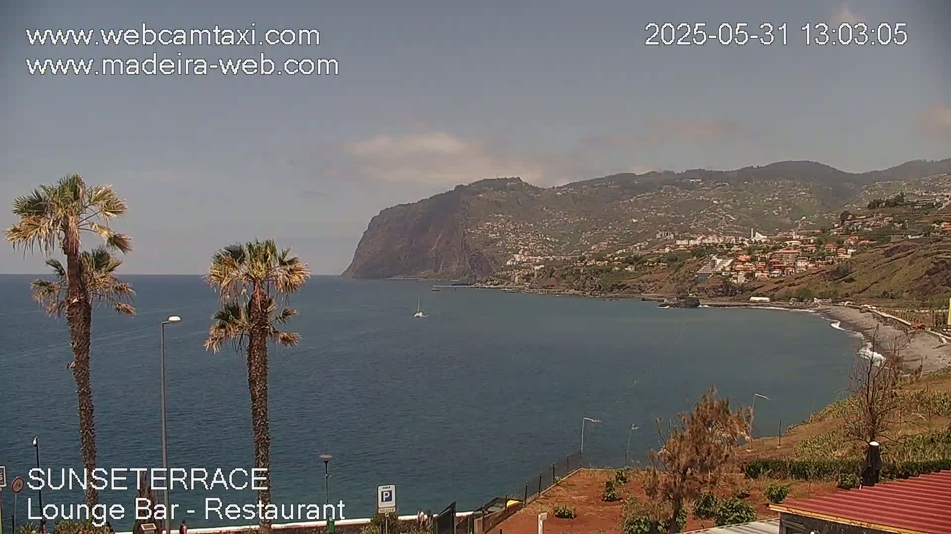 A mostly sunny view of a coastal town nestled against a steep cliffside, with a calm ocean in the foreground and two palm trees in the immediate vicinity.