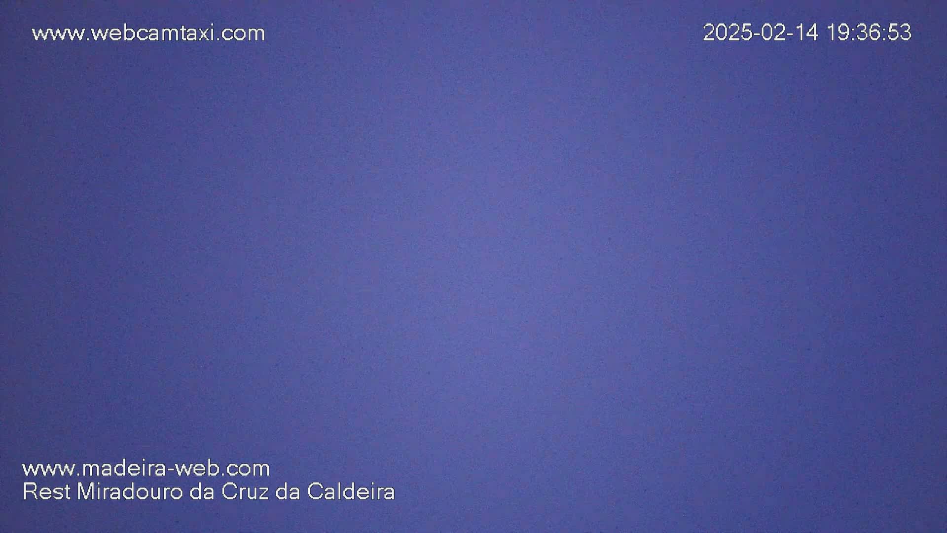 A solid, dark purple-blue field fills the entire image.