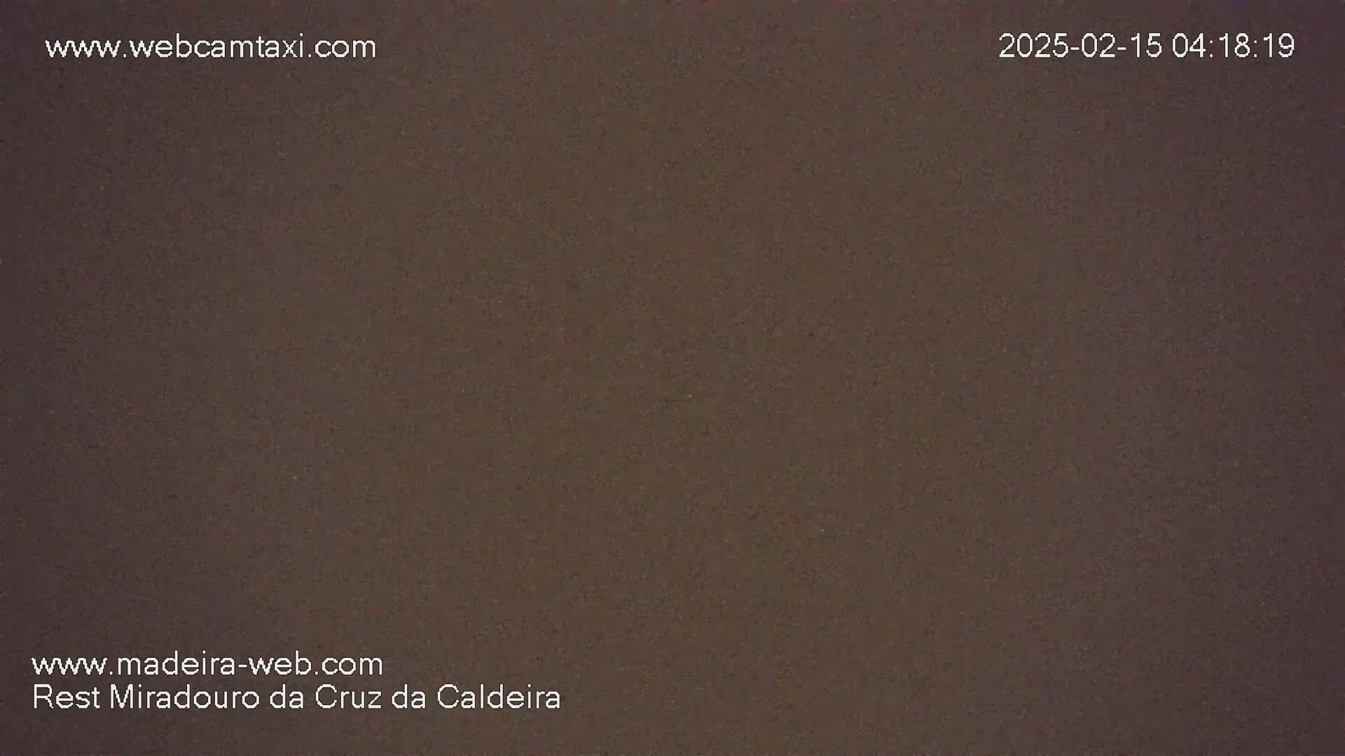 A dark brown, uniformly textured surface fills the entire image.