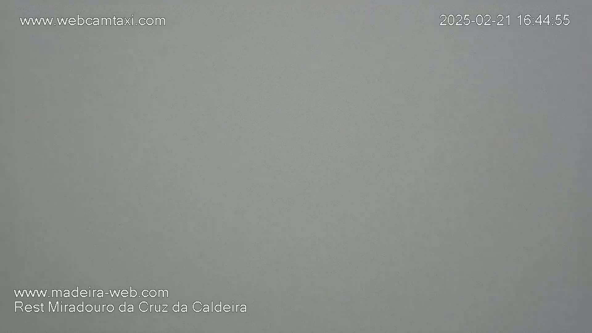 A solid, light gray surface is shown.