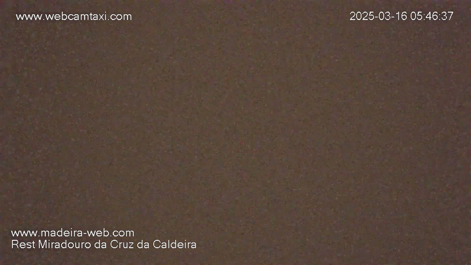 A uniformly dark brown image shows a solid, even texture.