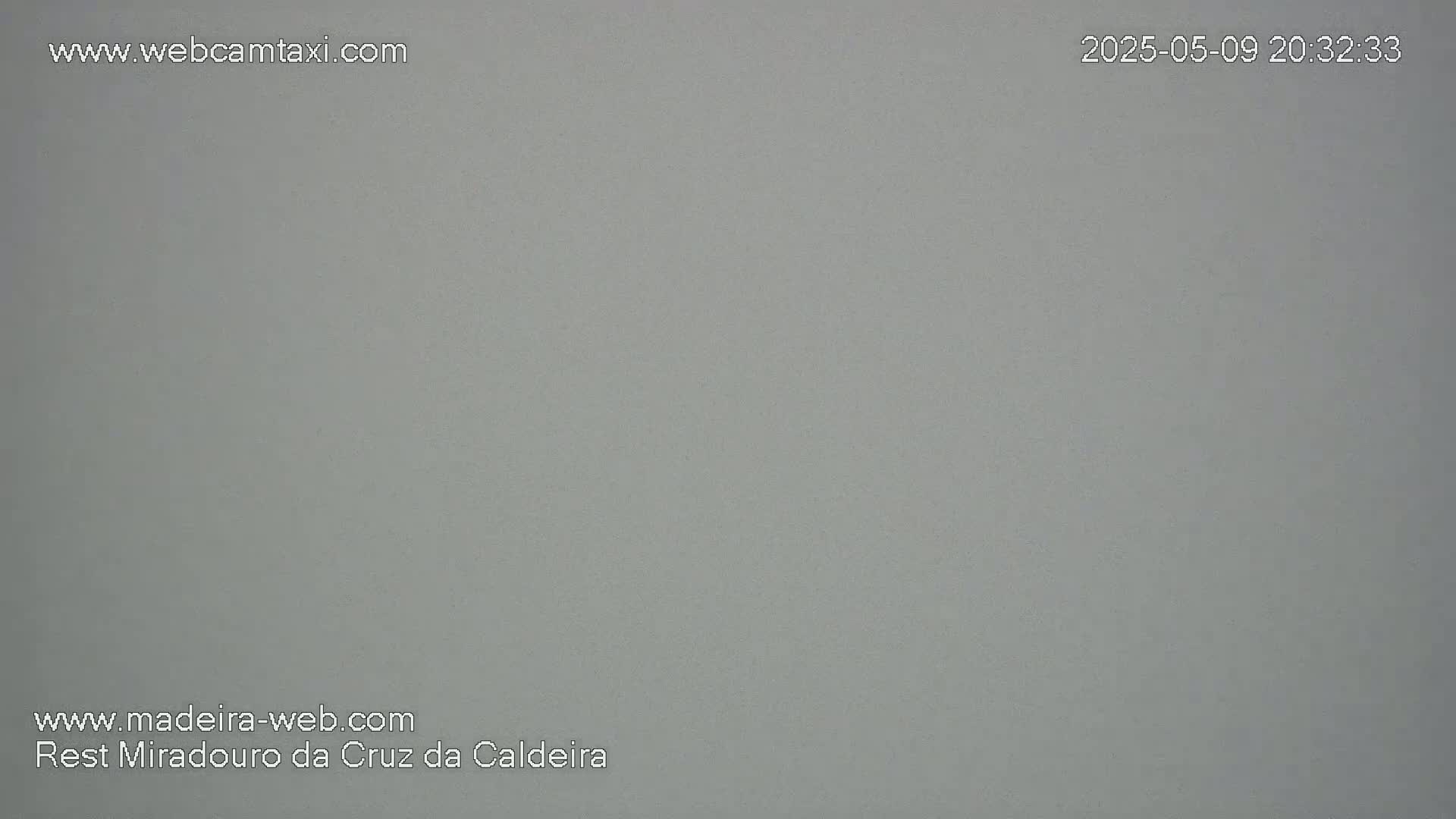 A uniformly light gray image shows a solid, featureless background.