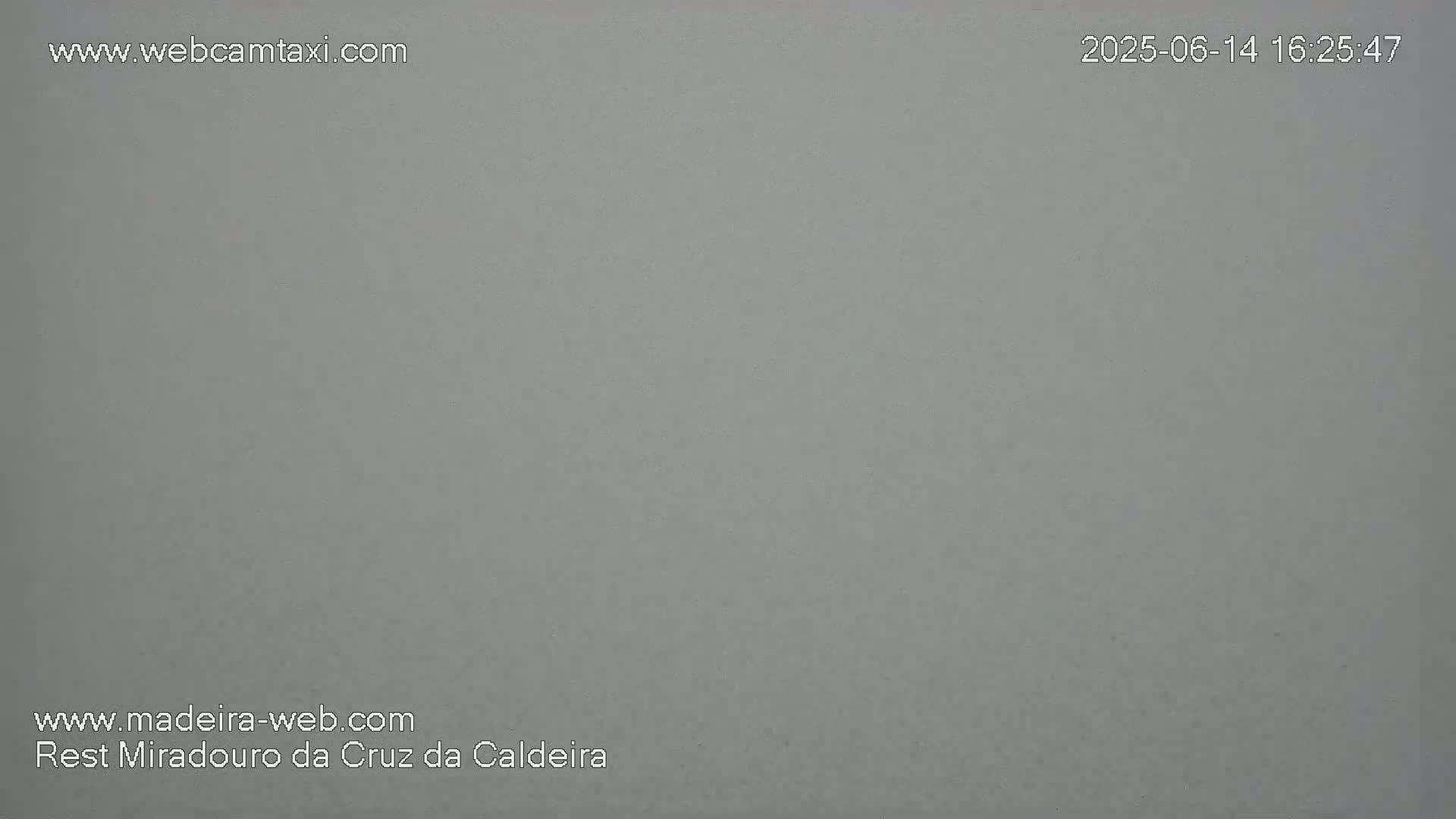 A solid, light gray surface fills the entire image.