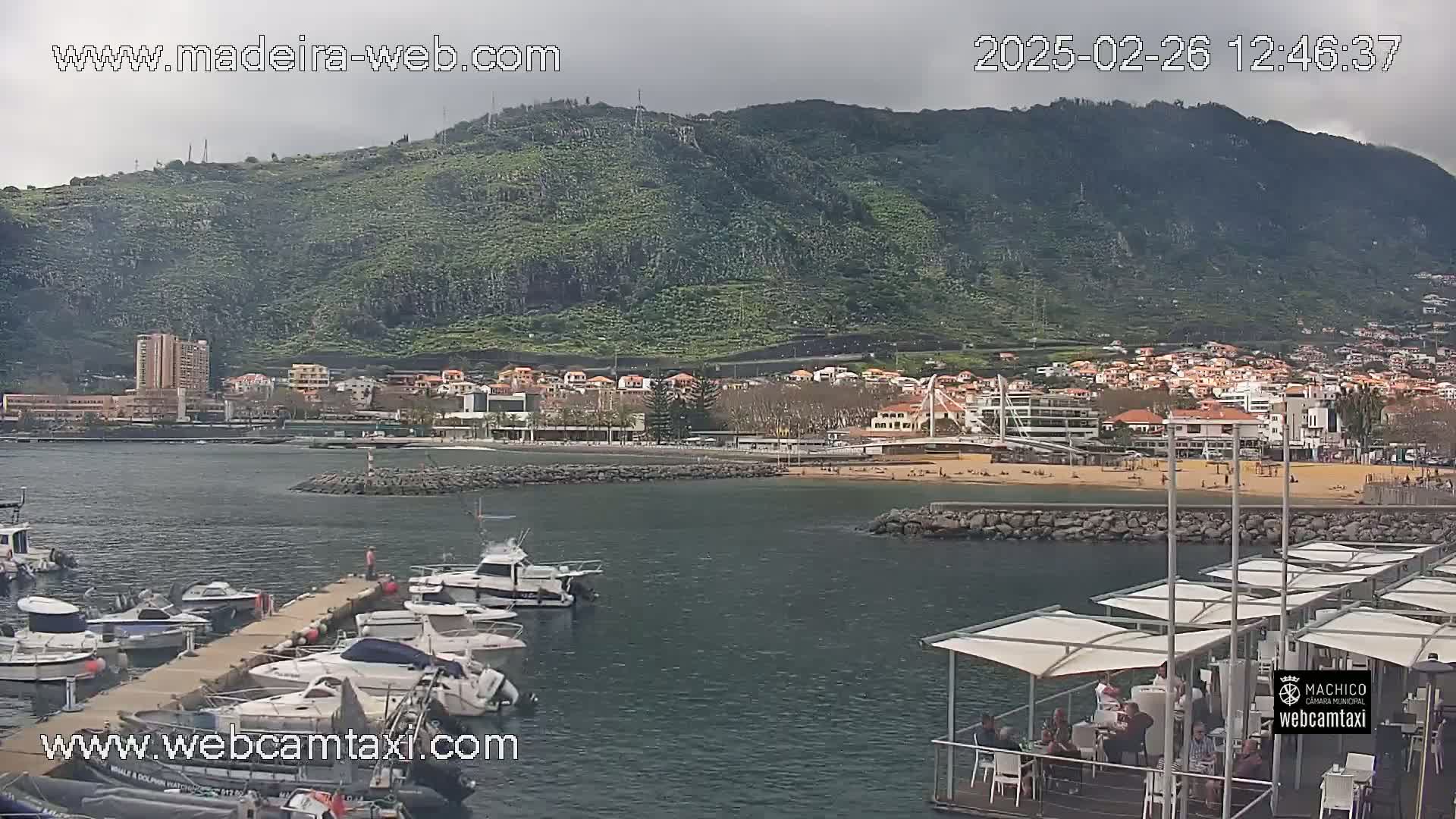 A marina filled with boats sits at the base of a green, hilly coastline under an overcast sky.