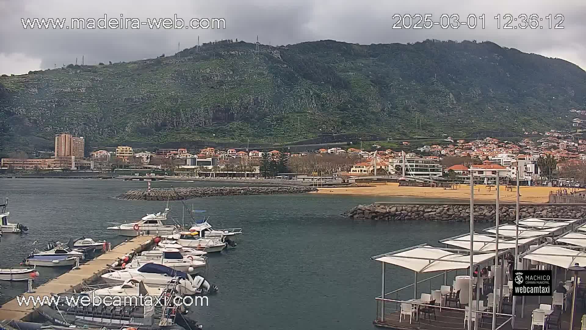 A marina filled with boats sits at the base of a green, mountainous coast under an overcast sky.