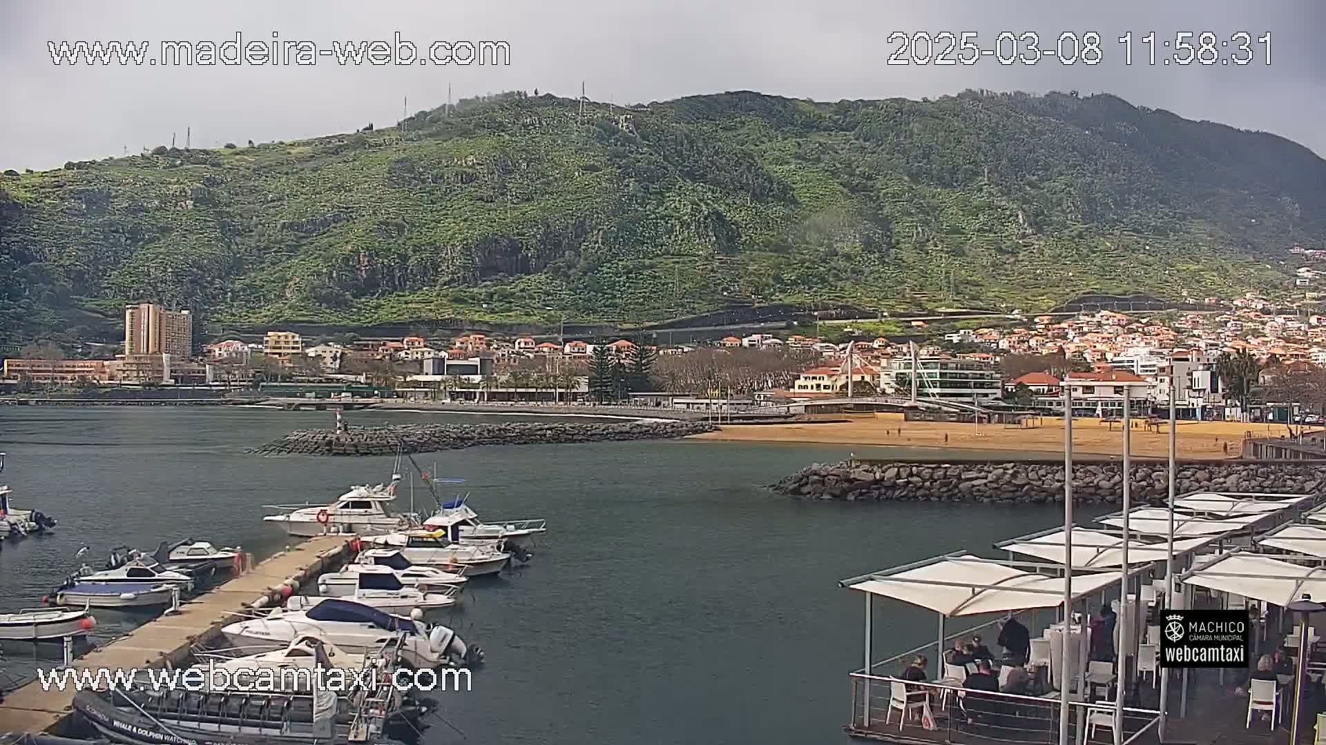 A harbor with several moored boats is situated below a green hillside town under an overcast sky.