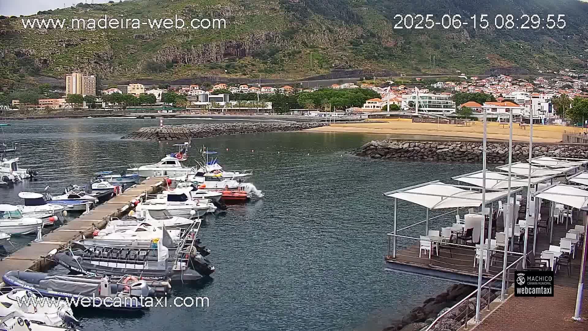 A harbor filled with numerous boats is situated near a town nestled against a hillside under a cloudy sky.