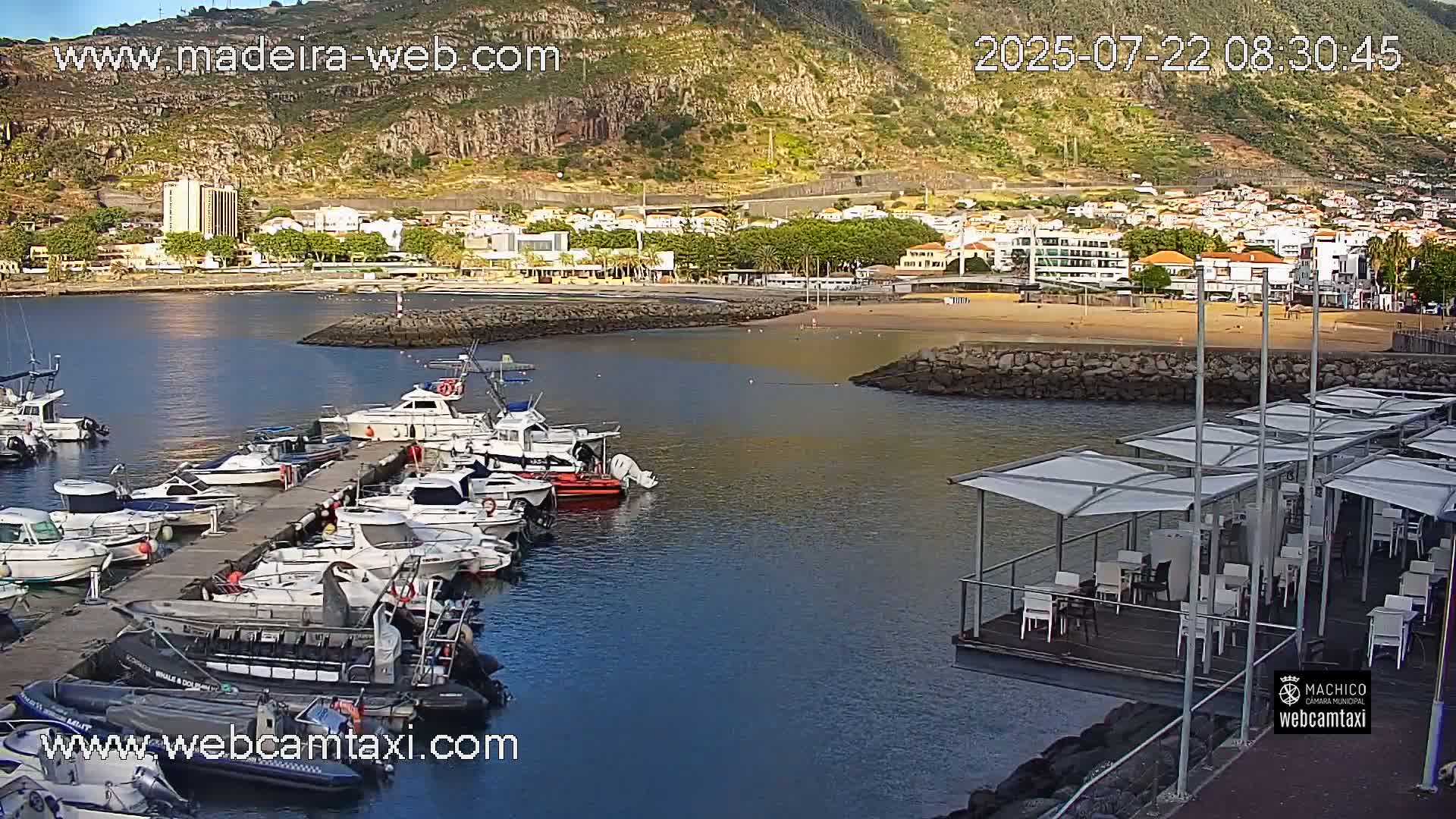 A marina filled with numerous boats is situated in front of a town nestled against a hillside, under a mostly sunny sky.