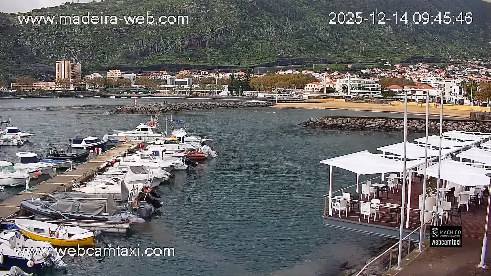 A nighttime view of a harbor filled with docked boats, with a town's illuminated buildings and coastline visible in the background under a clear sky.