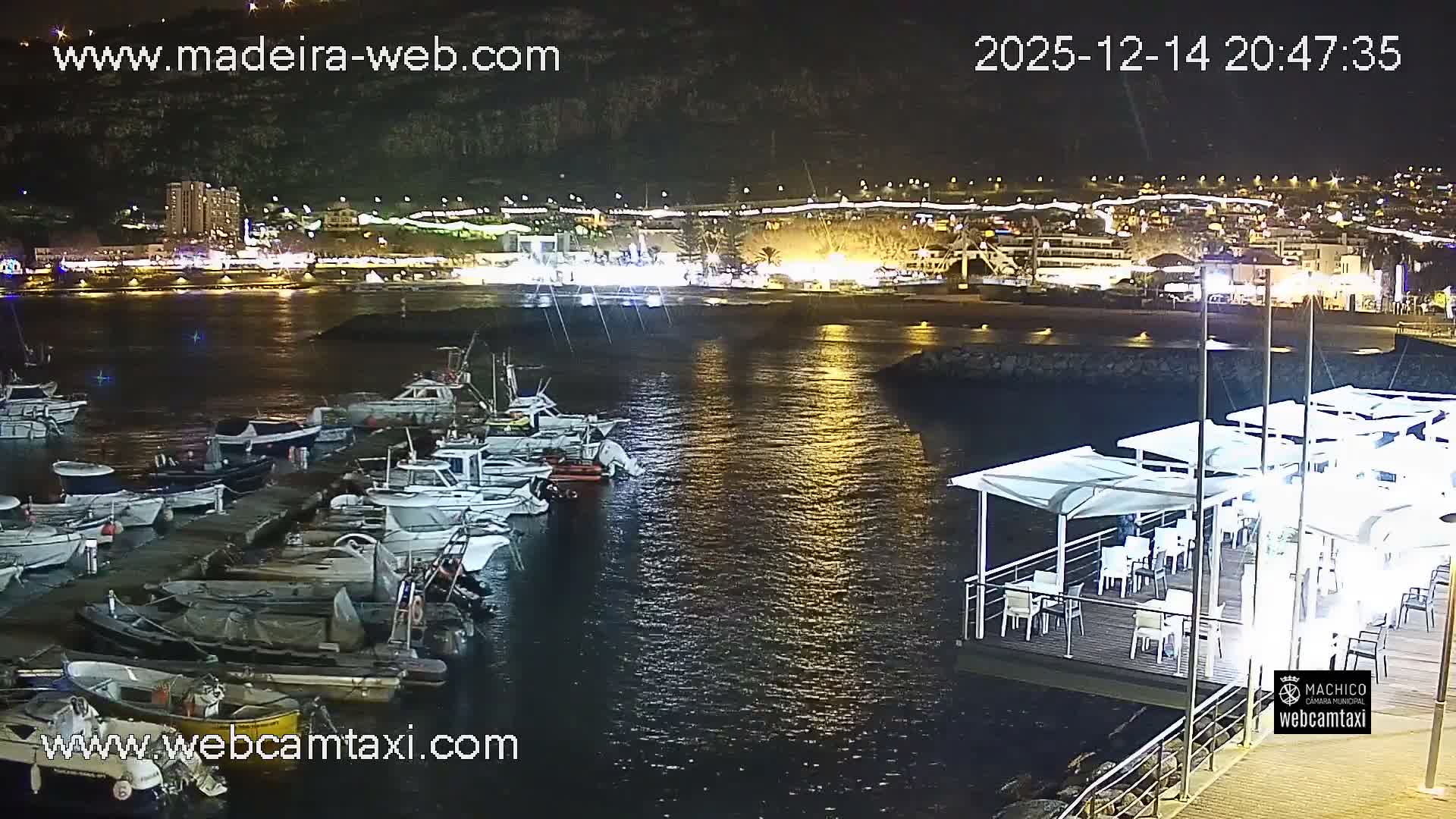 A nighttime view of a harbor filled with docked boats, with a town's illuminated buildings and coastline visible in the background under a clear sky.