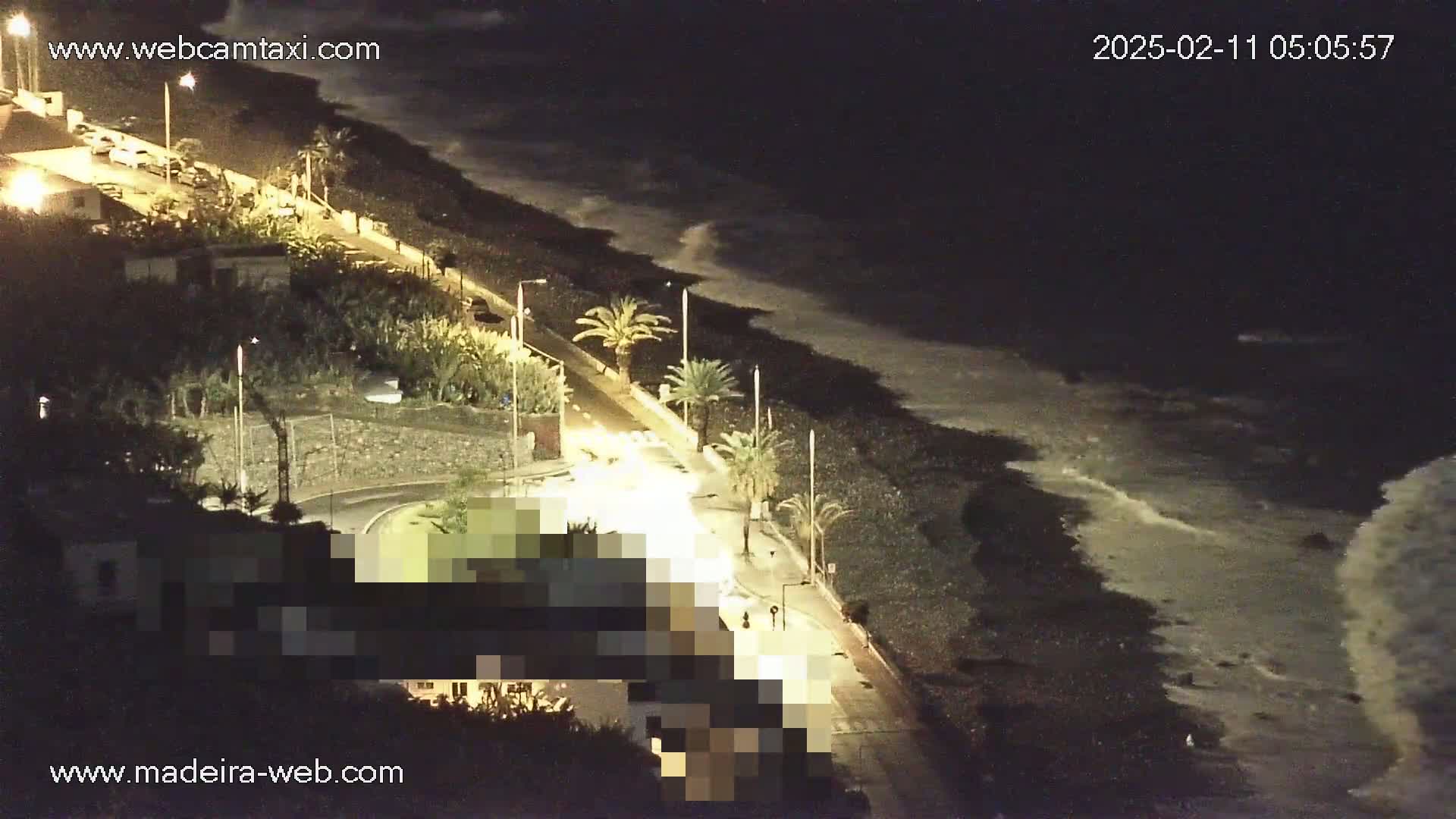 A nighttime coastal scene shows a paved road lined with palm trees next to a dark, rocky beach with gentle waves lapping the shore under a dark sky.