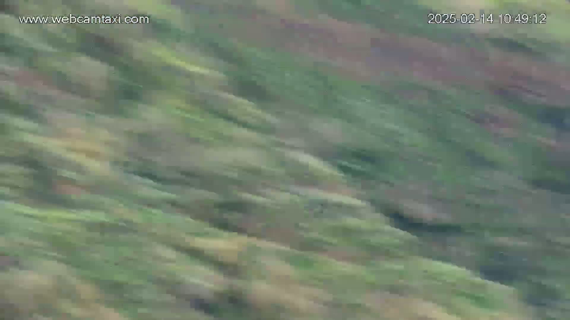 A blurry image shows a hillside covered in green vegetation, possibly due to motion blur.