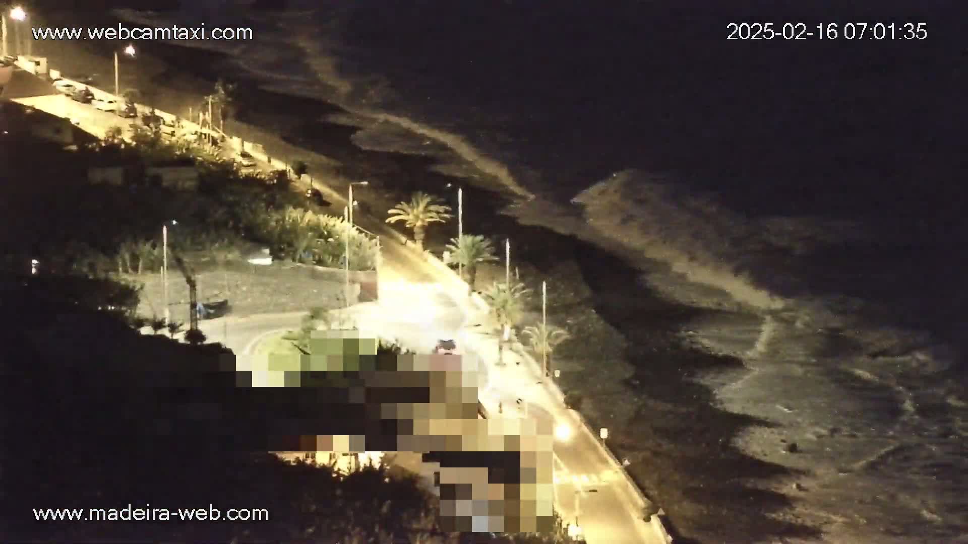 A nighttime, overhead view shows a dark ocean shore with a road winding along it, lit by streetlights, with palm trees and some parked cars visible.
