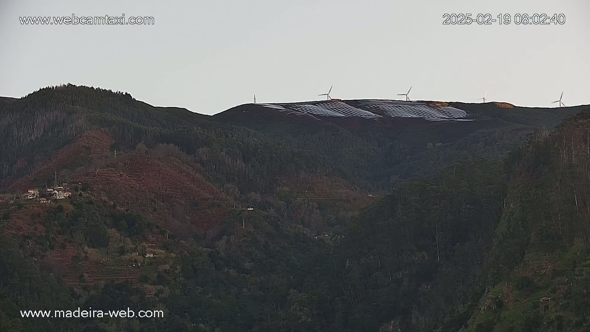 A hillside covered in dark green trees and what appears to be a solar farm, with several wind turbines visible on the ridge, under a light grey sky.