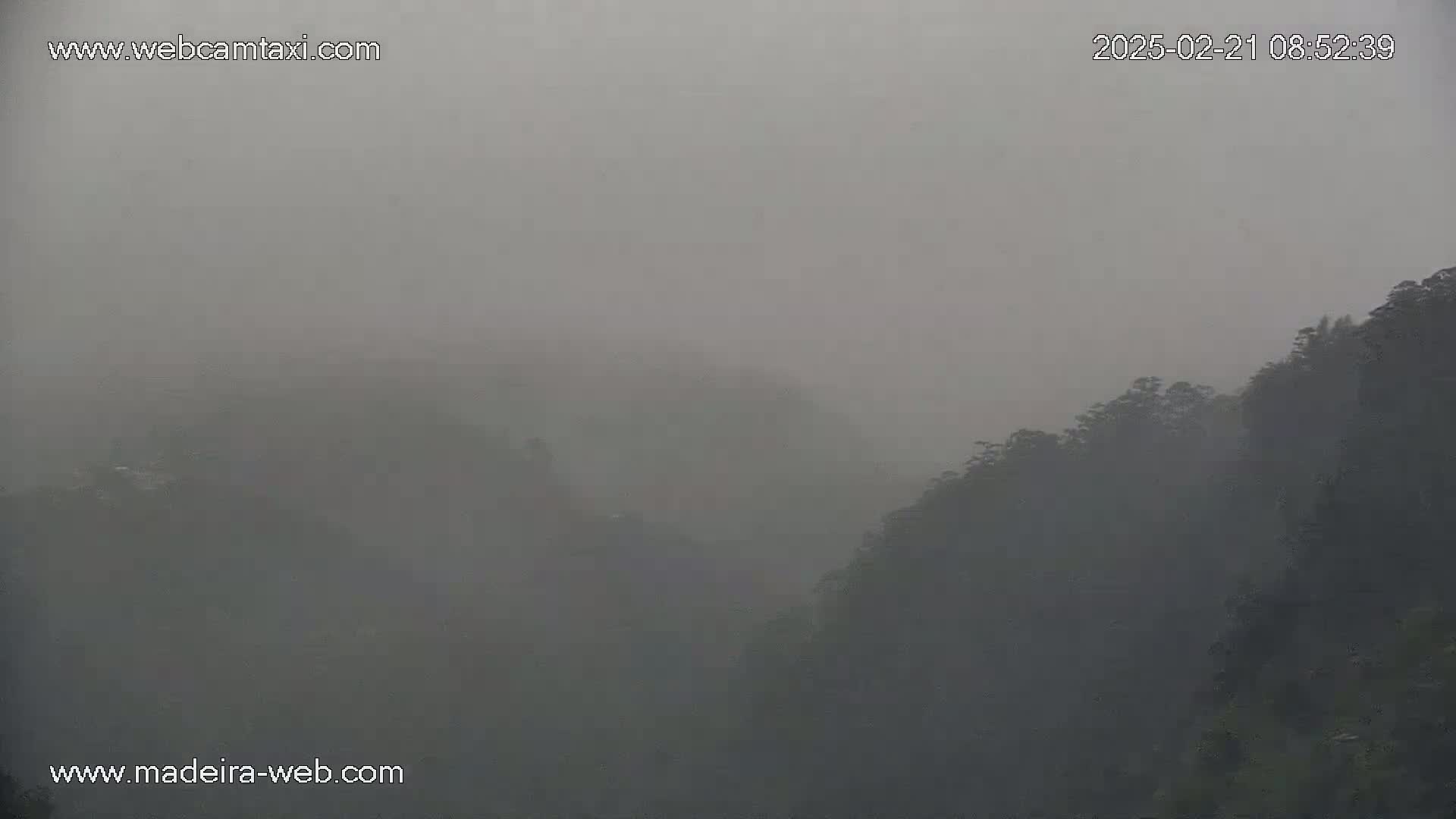 A foggy, overcast day obscures a view of dark, tree-covered hills.