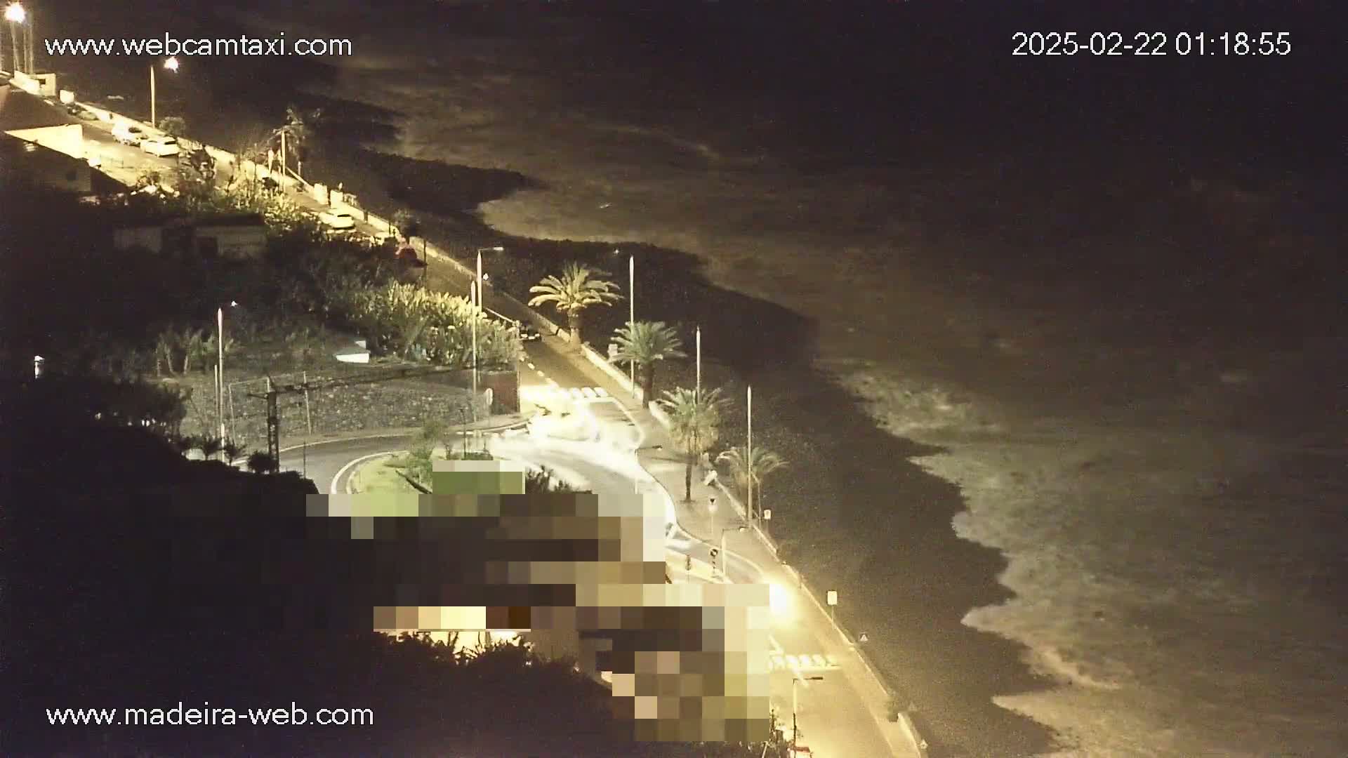 A nighttime coastal road with palm trees curves alongside a dark ocean with gentle waves under a clear sky.