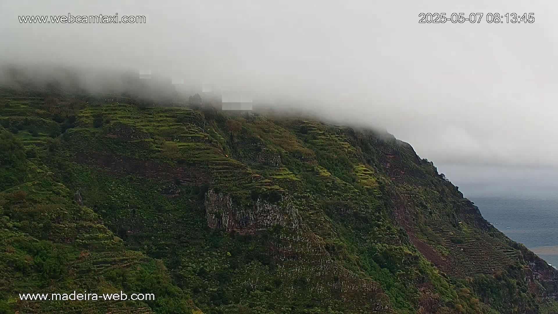 A fog-shrouded, verdant hillside slopes down to a body of water, showing terraced fields.