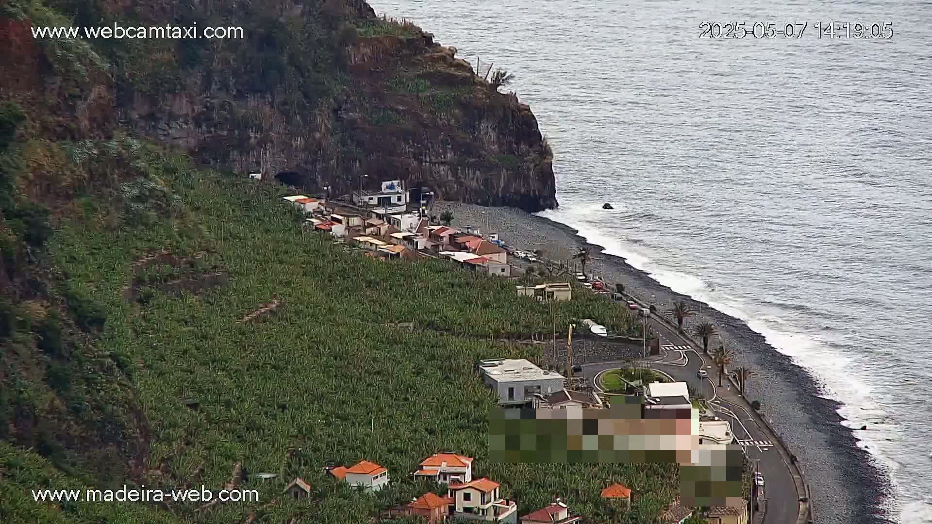 A coastal village with a black sand beach and rows of banana plants sits below a dark cliff overlooking a calm, gray sea.